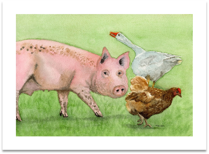 Farmyard commotion