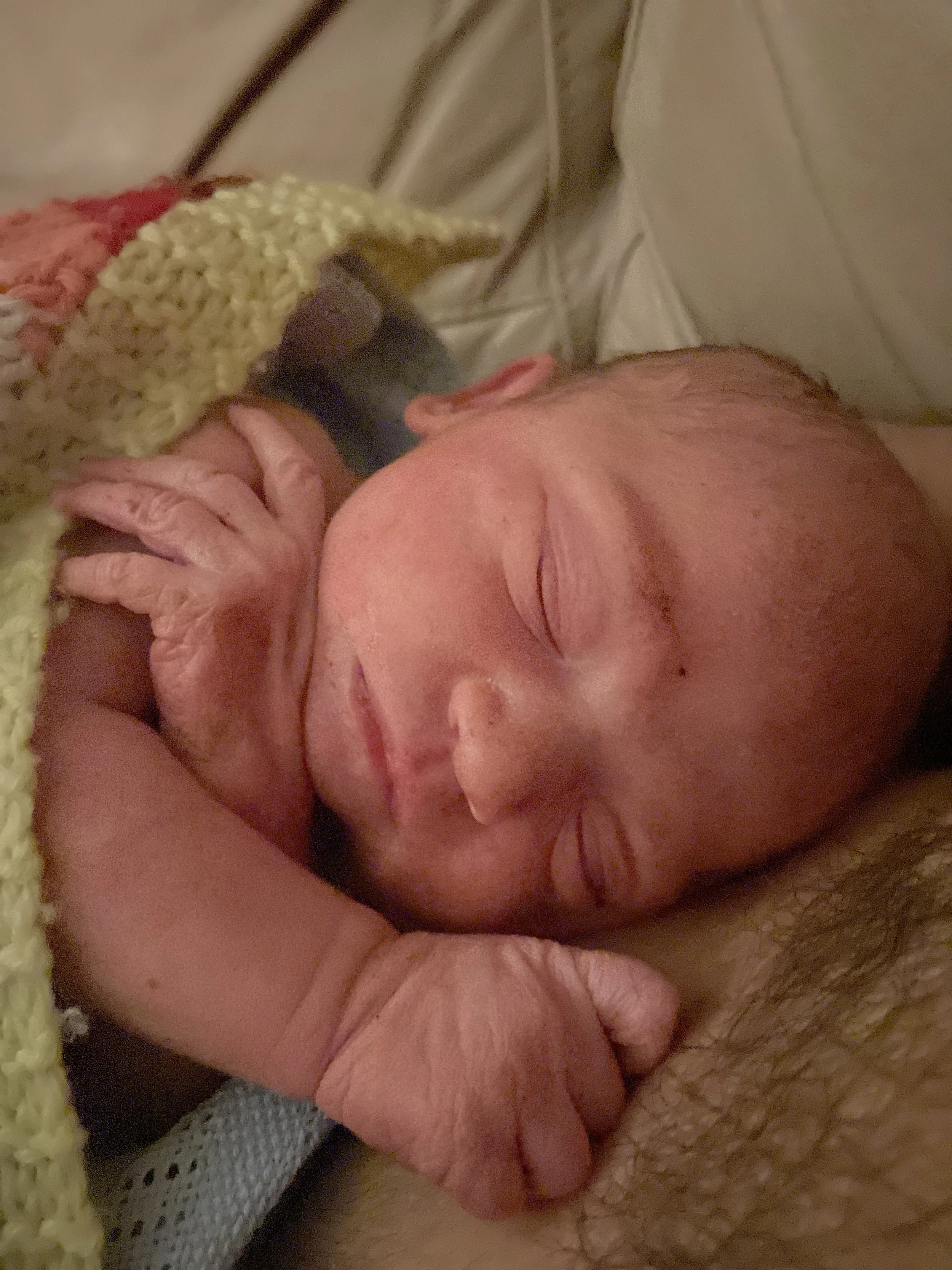 Birth notification. Free birth. Postnatal care