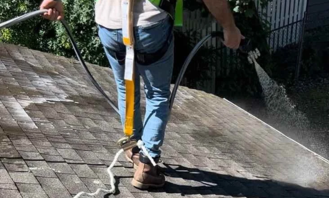 Soft washing a shingle roof using low-pressure cleaning equipment