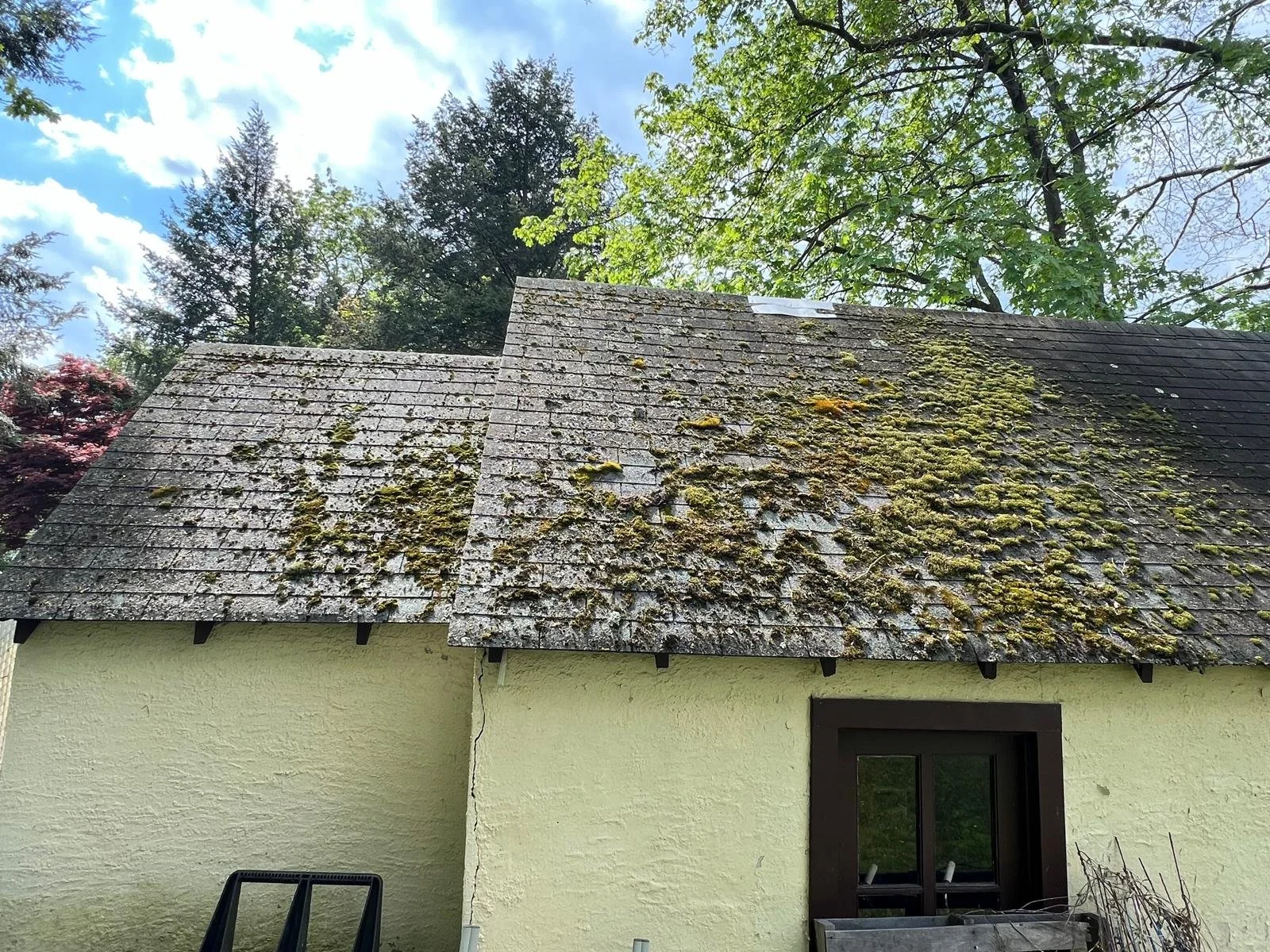 remove moss on roof