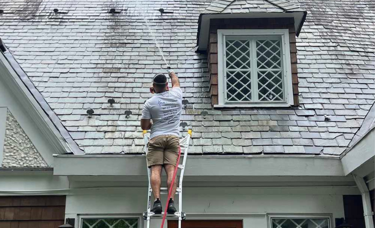 Professional soft washing of a residential roof