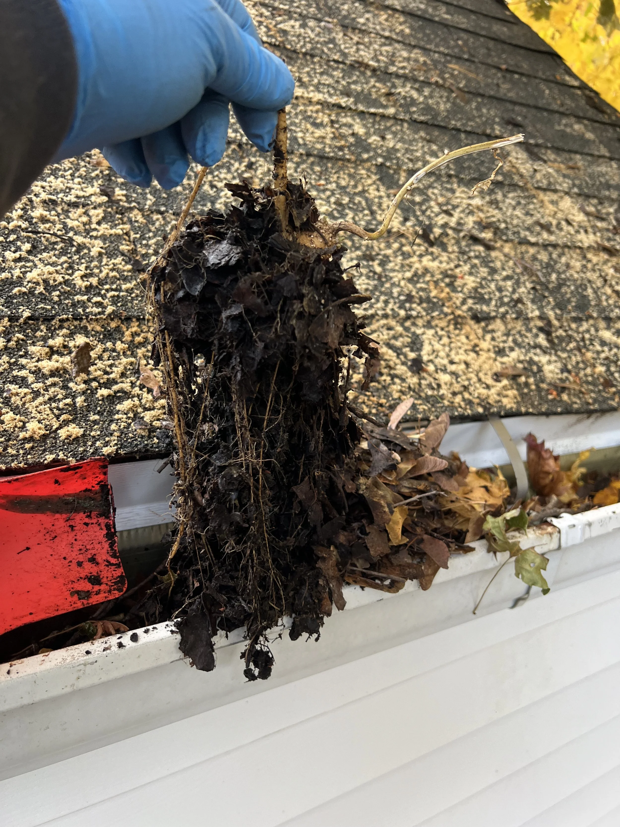 Gutter Cleaning clogged gutters