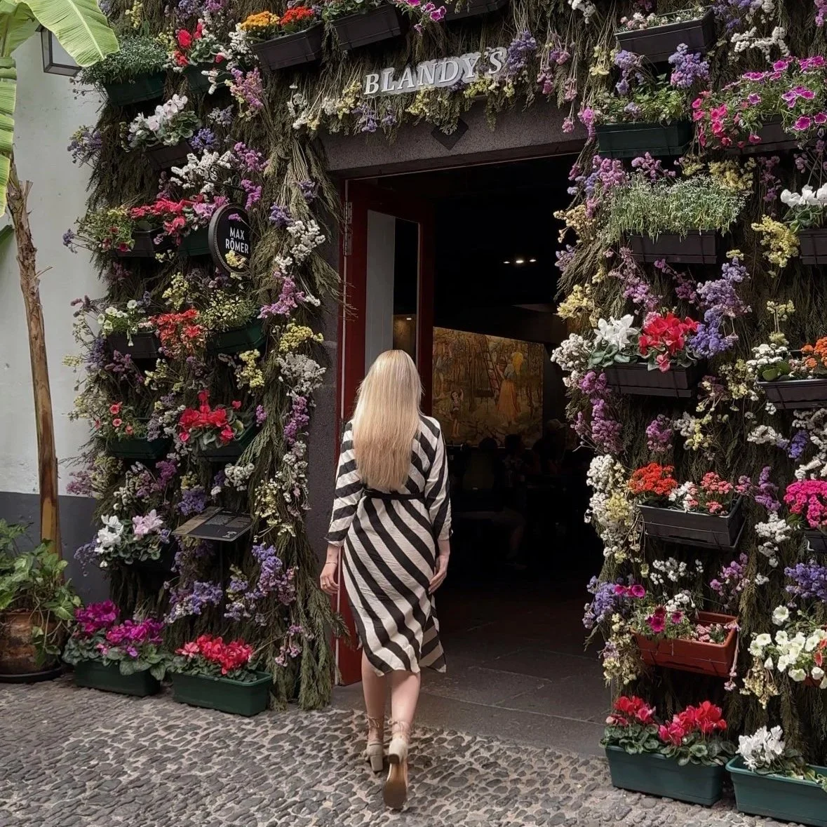 Madeira: an island with taste