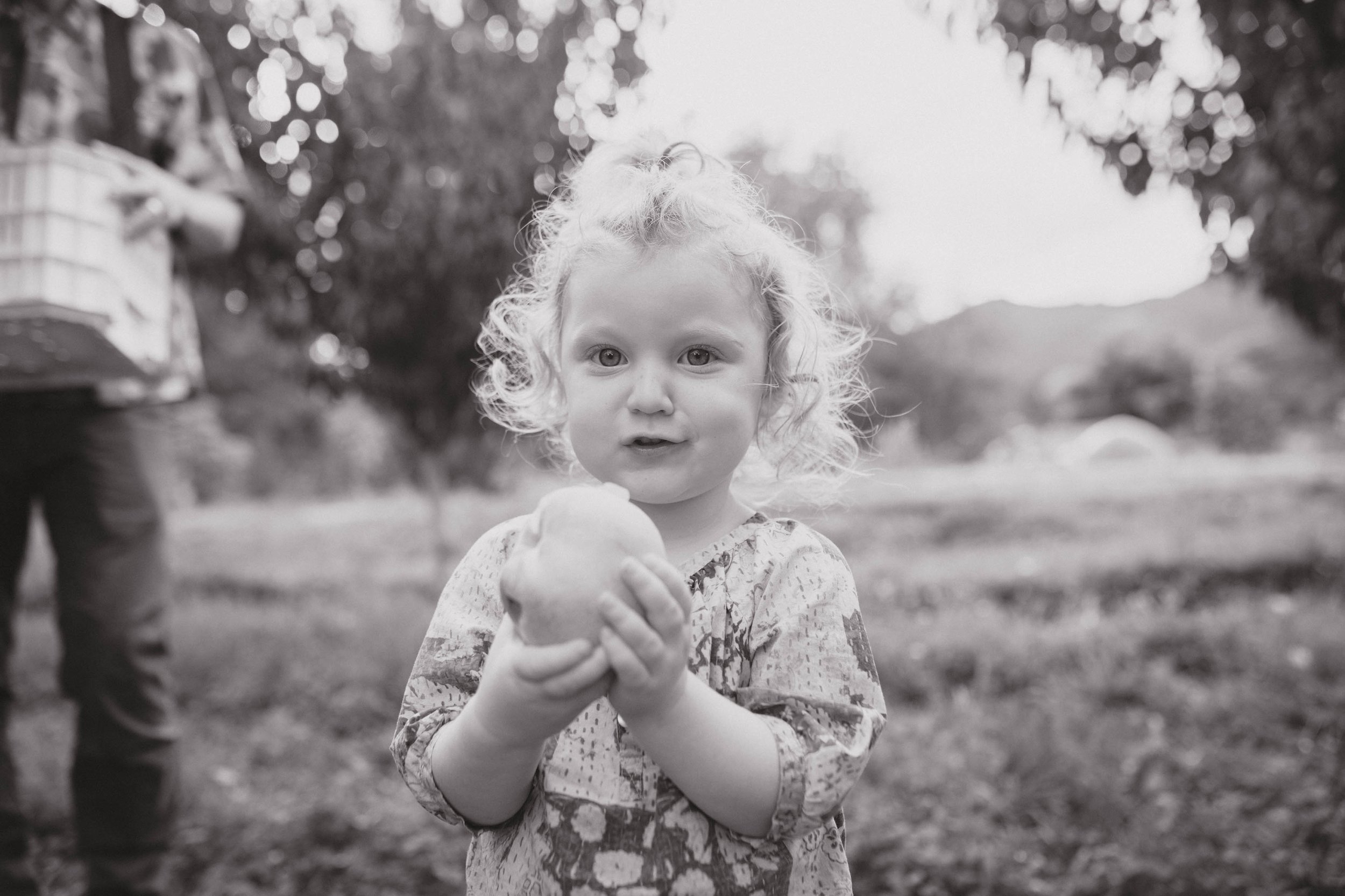 peaches-79.jpg