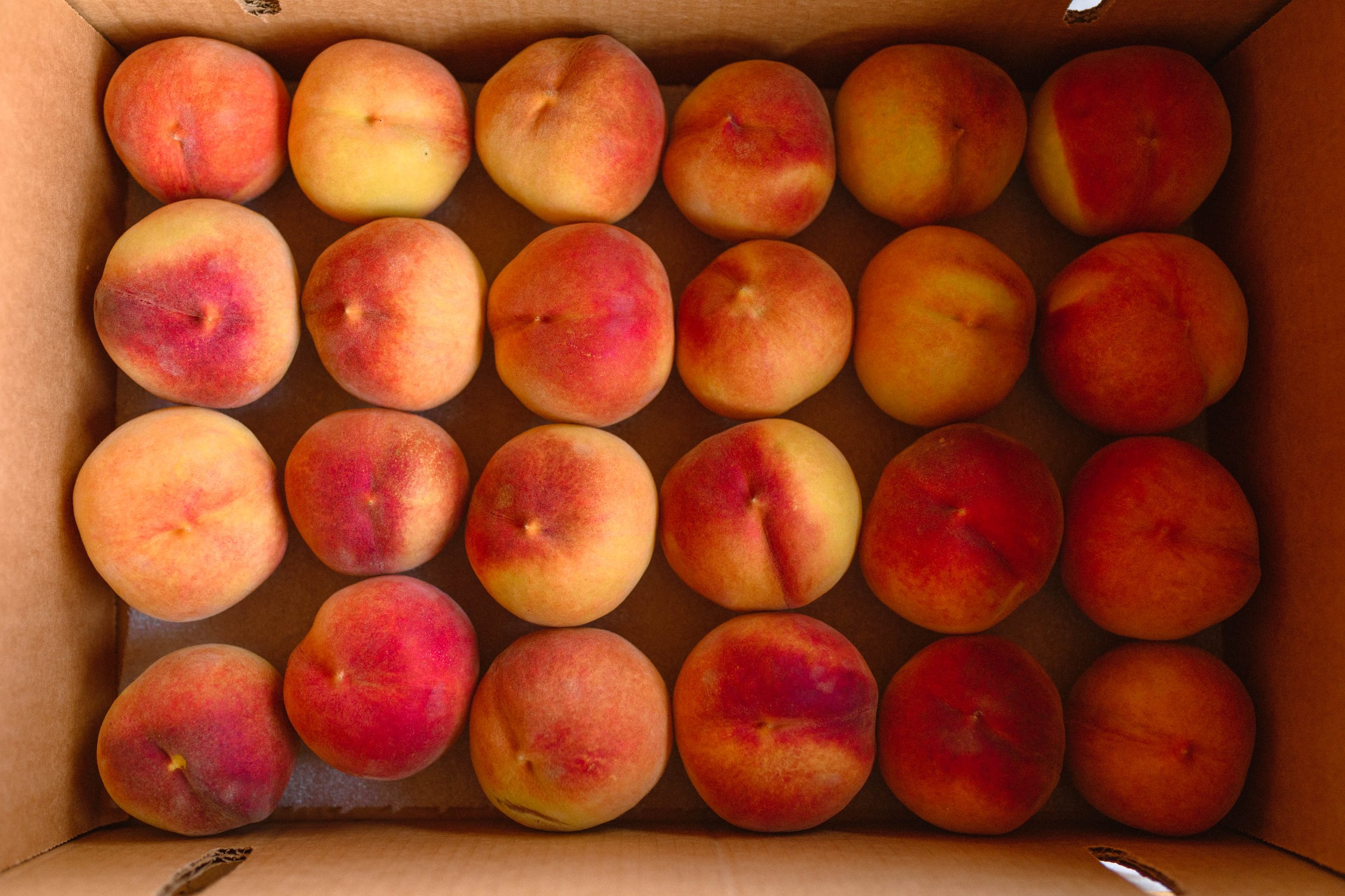 peaches-207.jpg