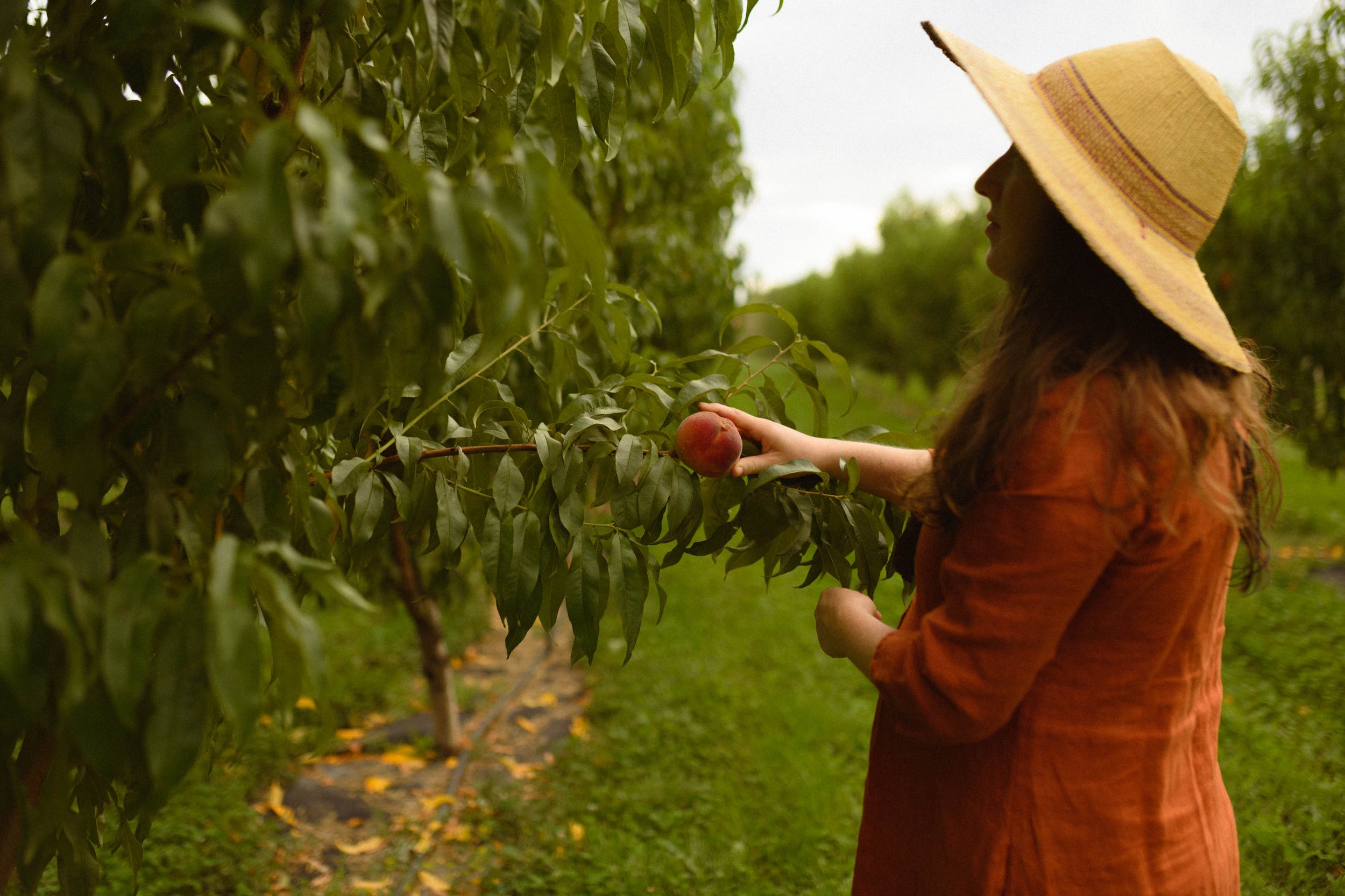 peaches-114.jpg