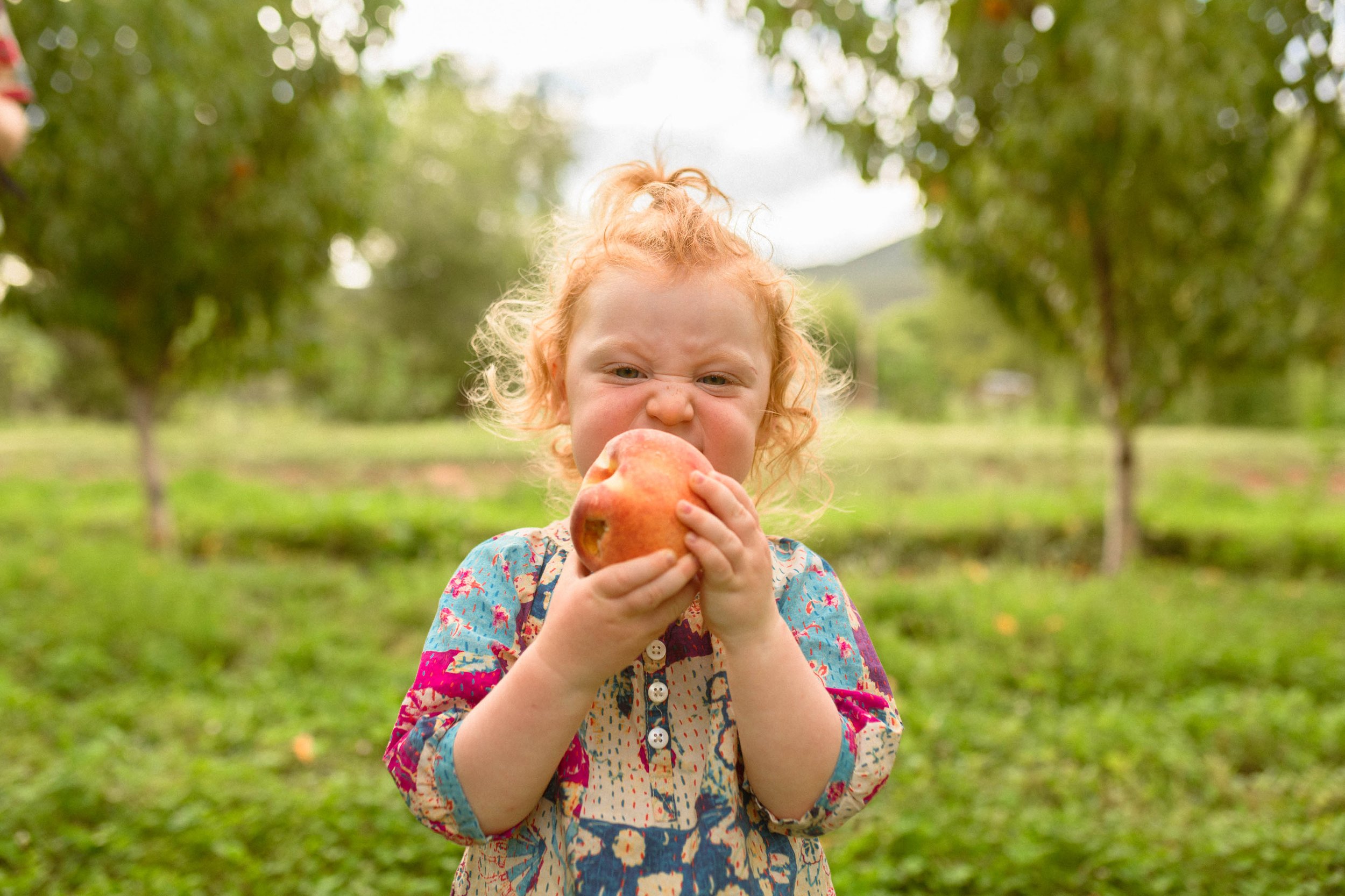 peaches-78.jpg