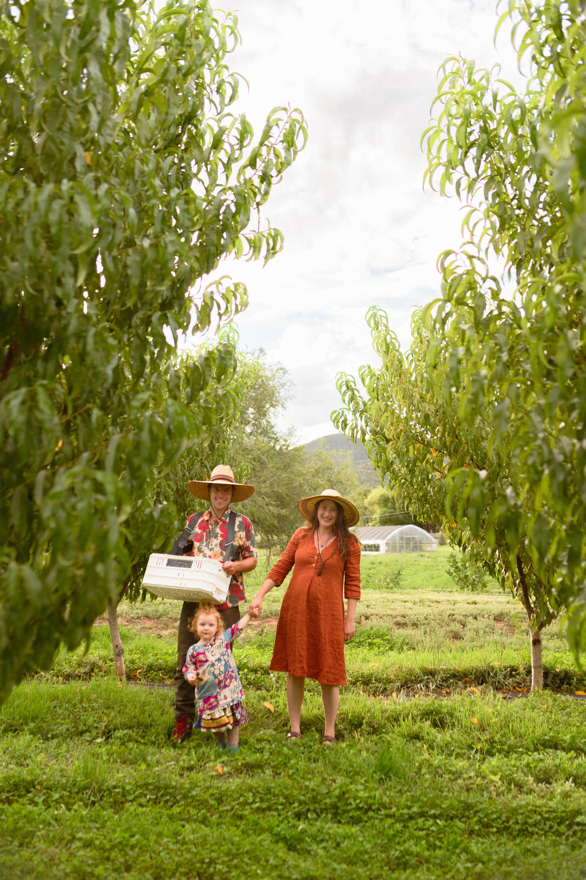 peaches-72.jpg