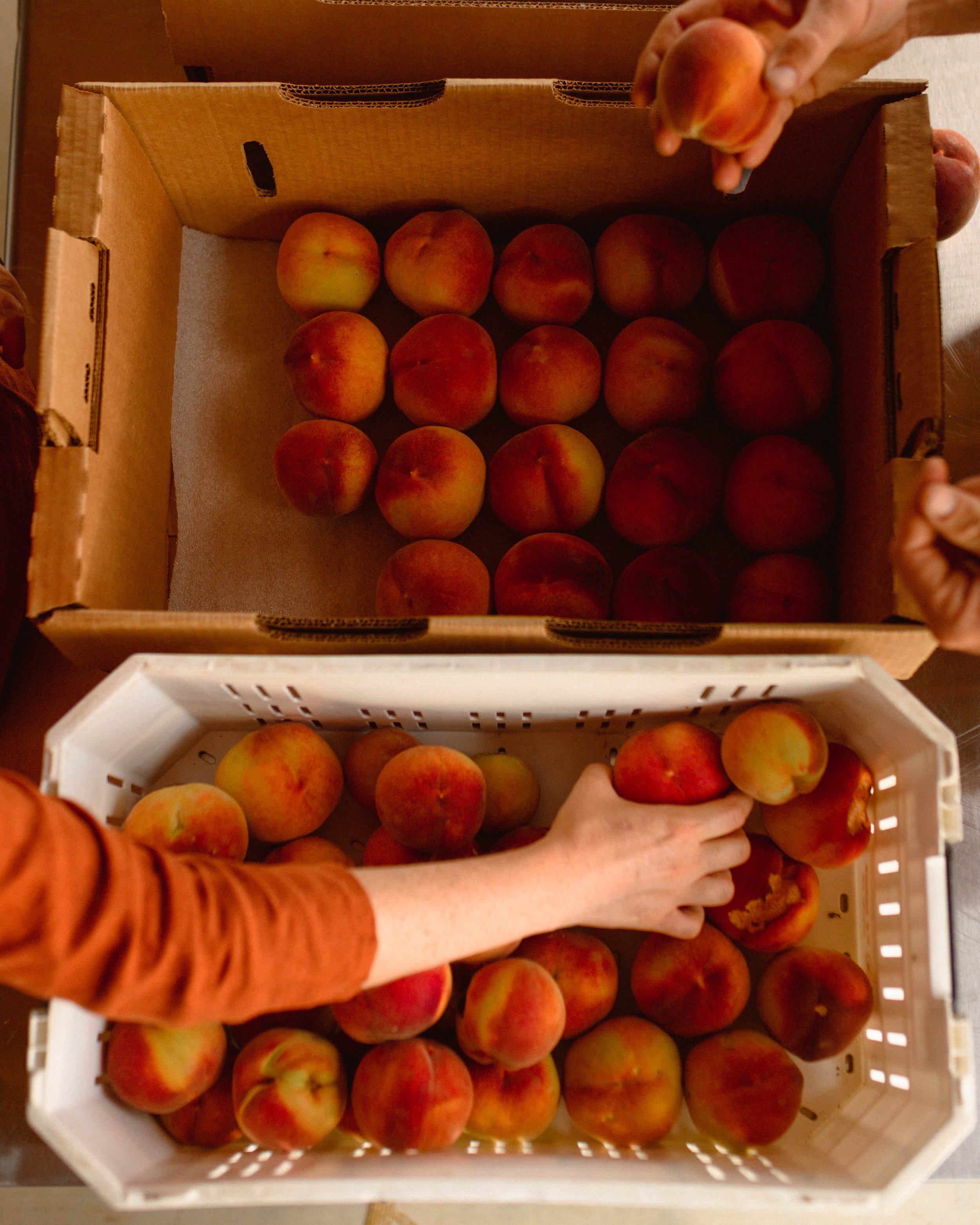 peaches-202.jpg