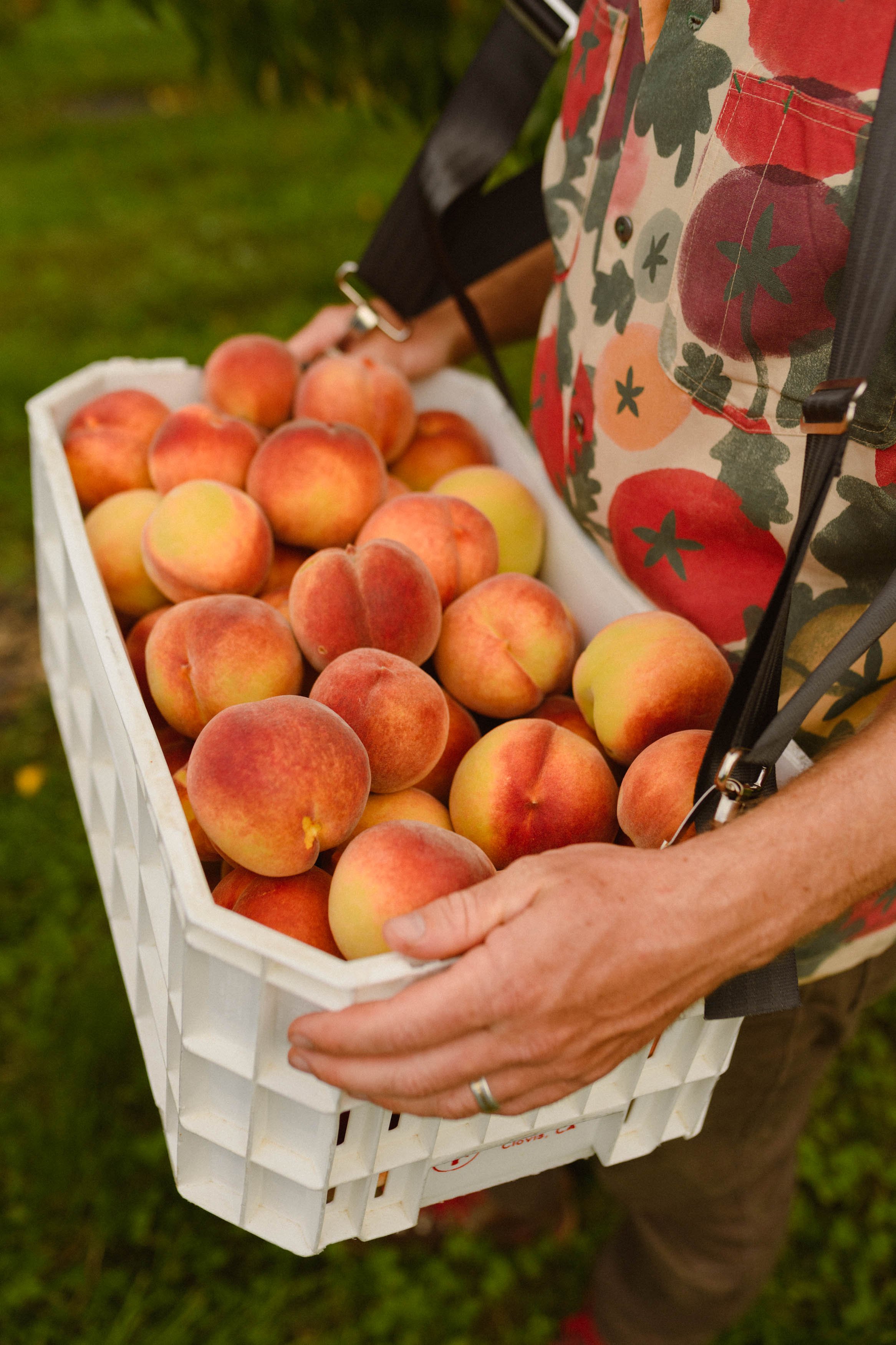 peaches-149.jpg