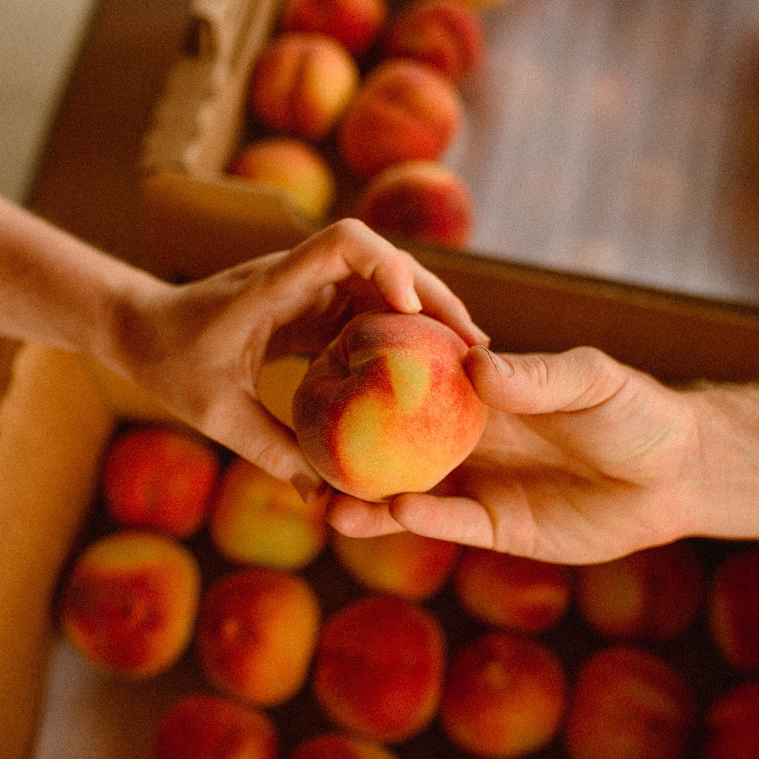 peaches-205.jpg