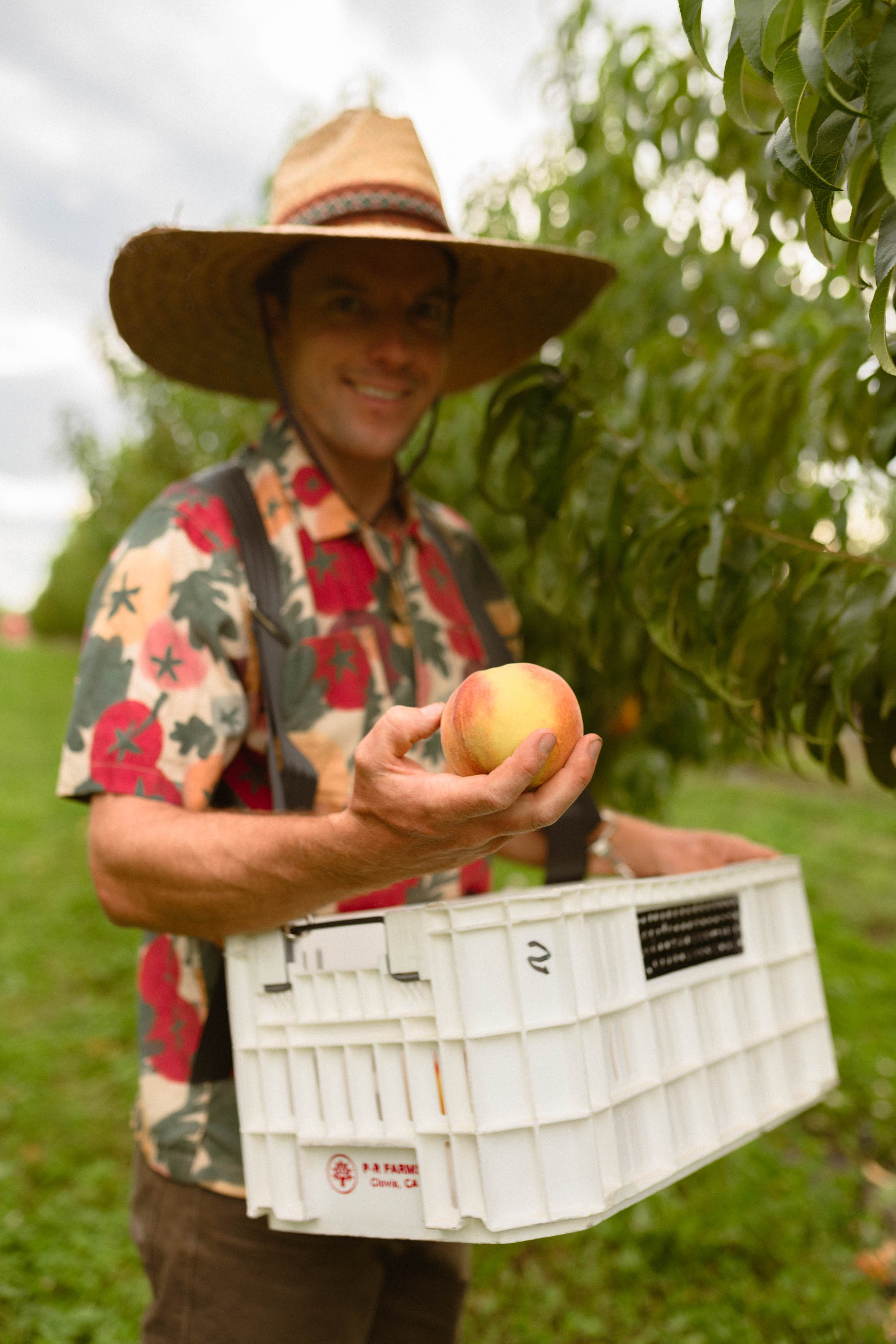 peaches-86.jpg
