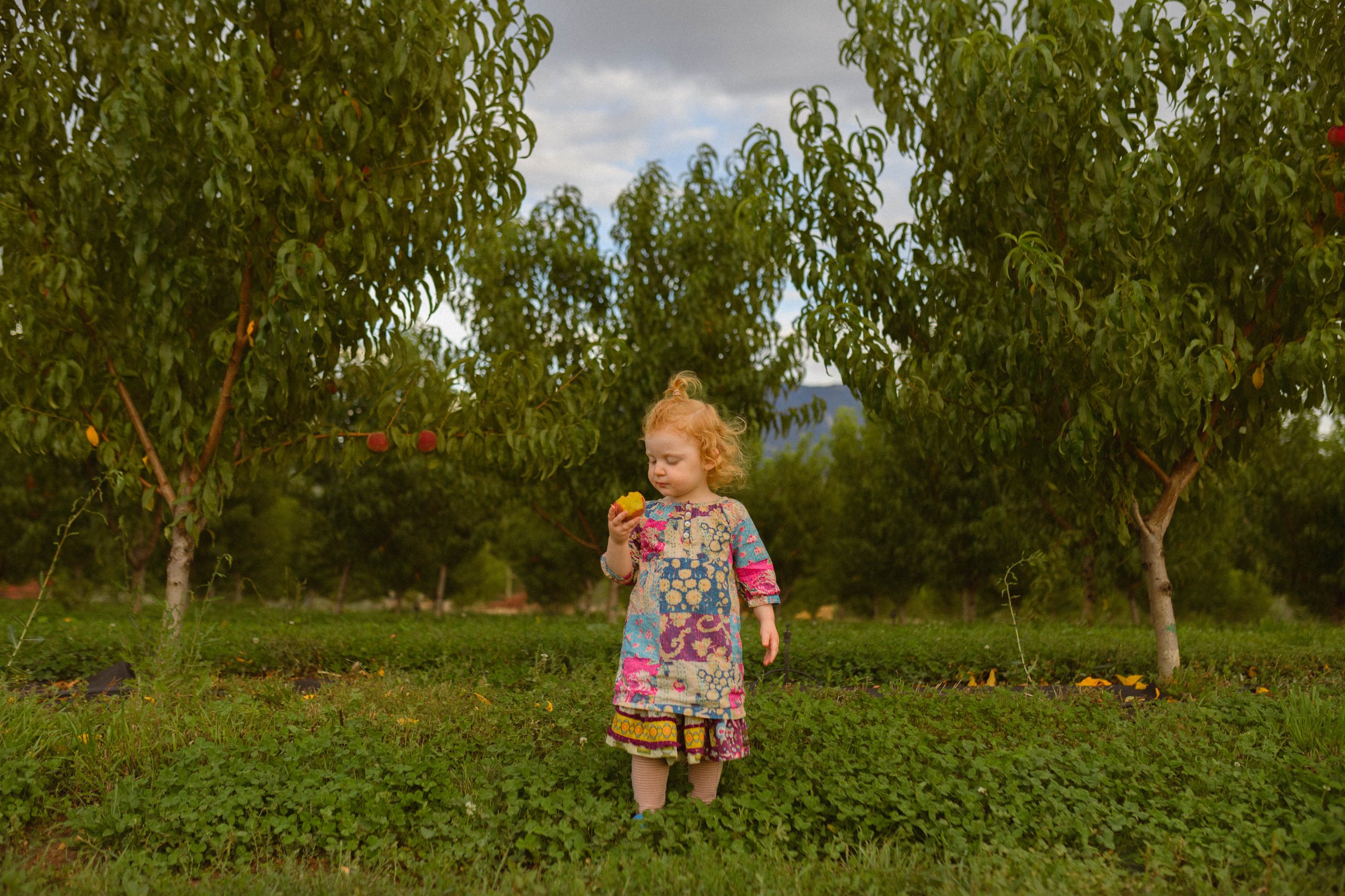 peaches-186.jpg