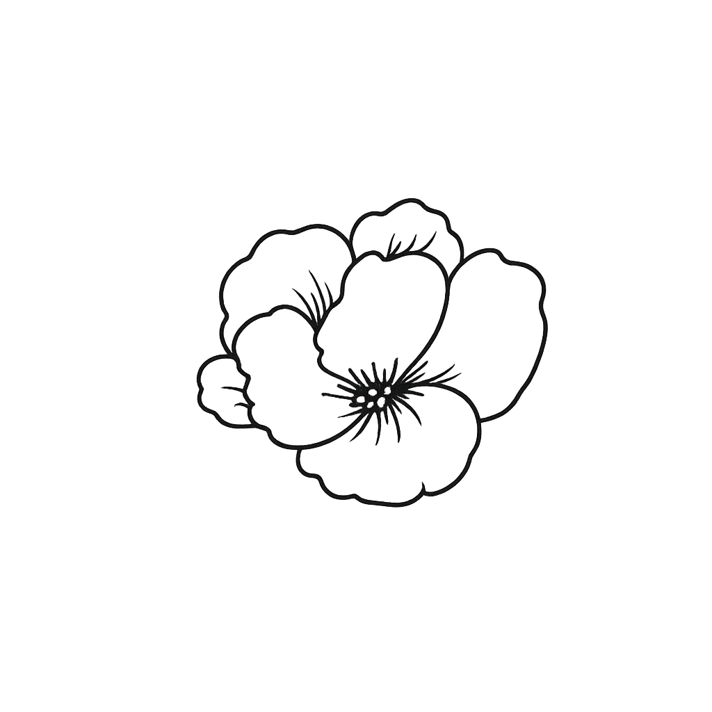 Black and white line drawing of a flower with multiple overlapping petals.