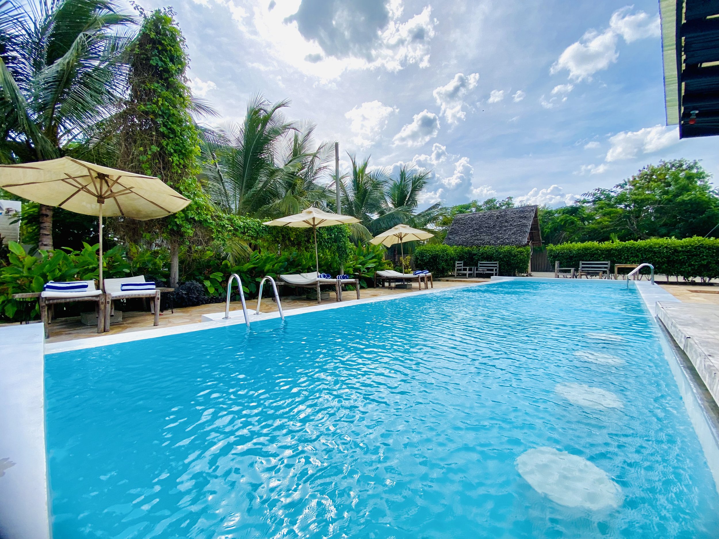 Swimming pool.jfif