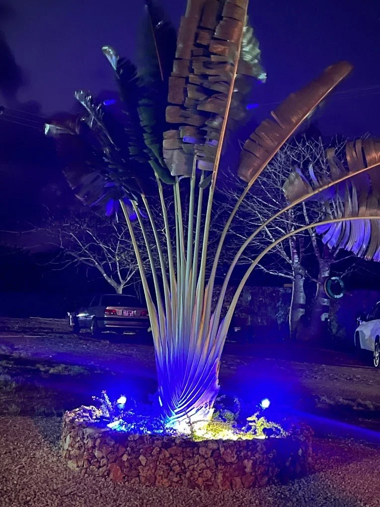 Large decorative plant sculpture illuminated by blue and white lights at night, with cars and trees in the background.