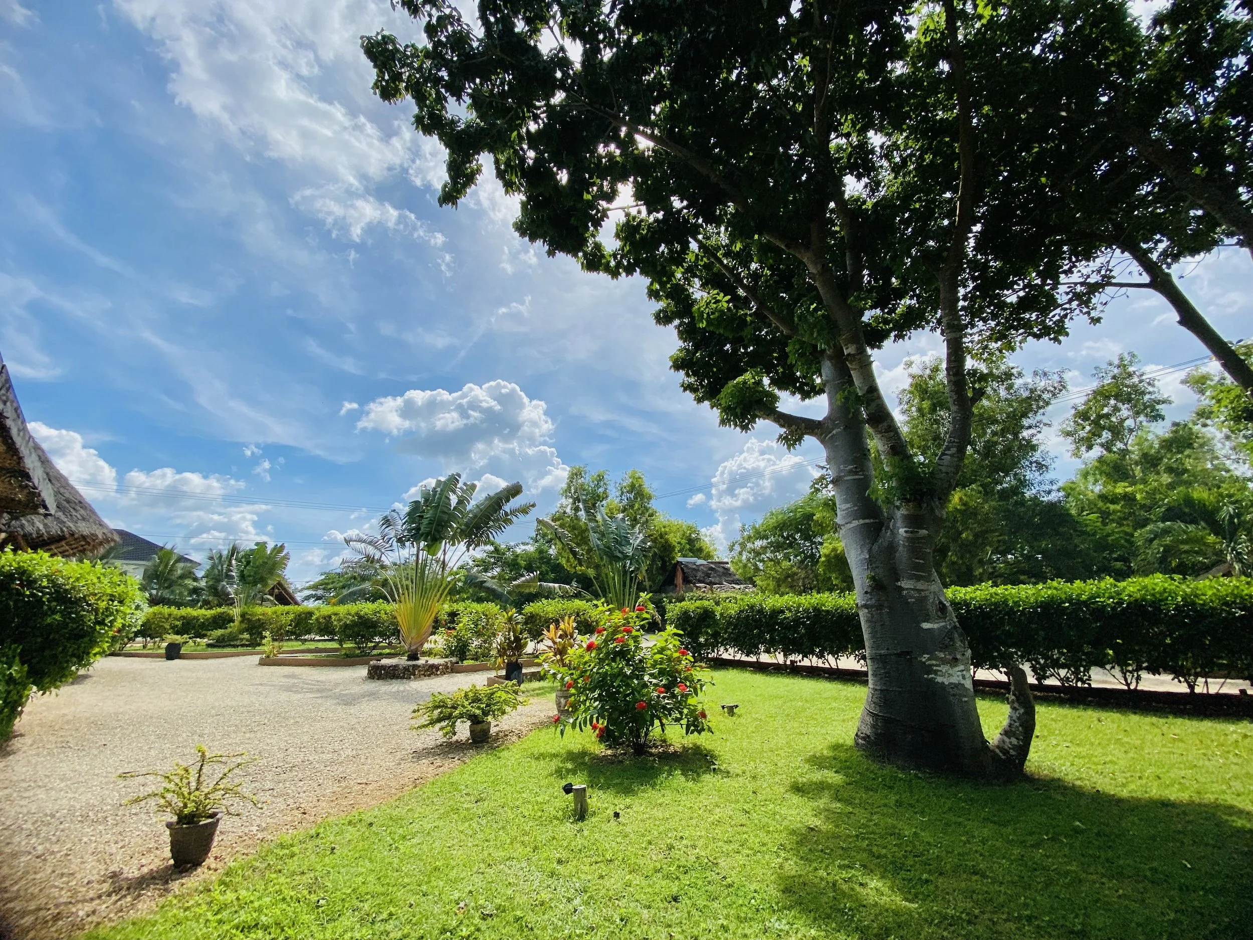 Garden.jfif
