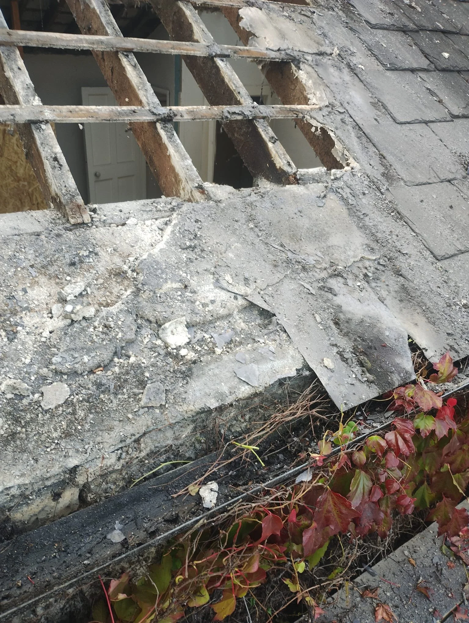 WhatsApp Image 2024-07-25 at 21.05.59 (2).jpeg