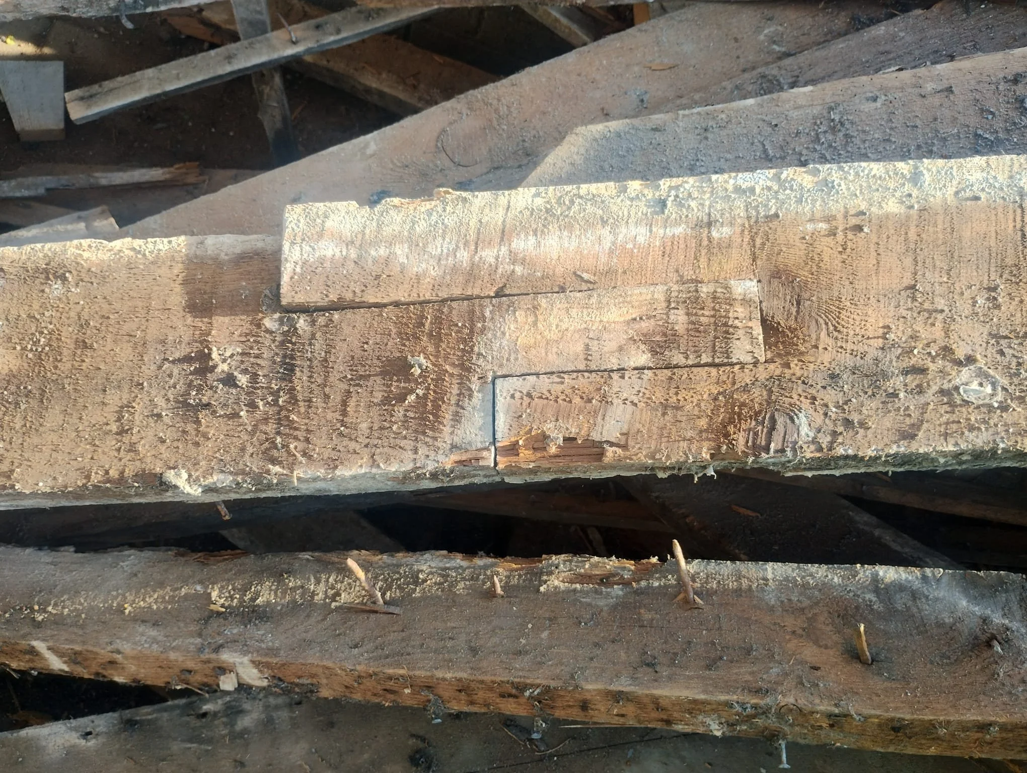 WhatsApp Image 2024-07-25 at 21.22.53 (16).jpeg