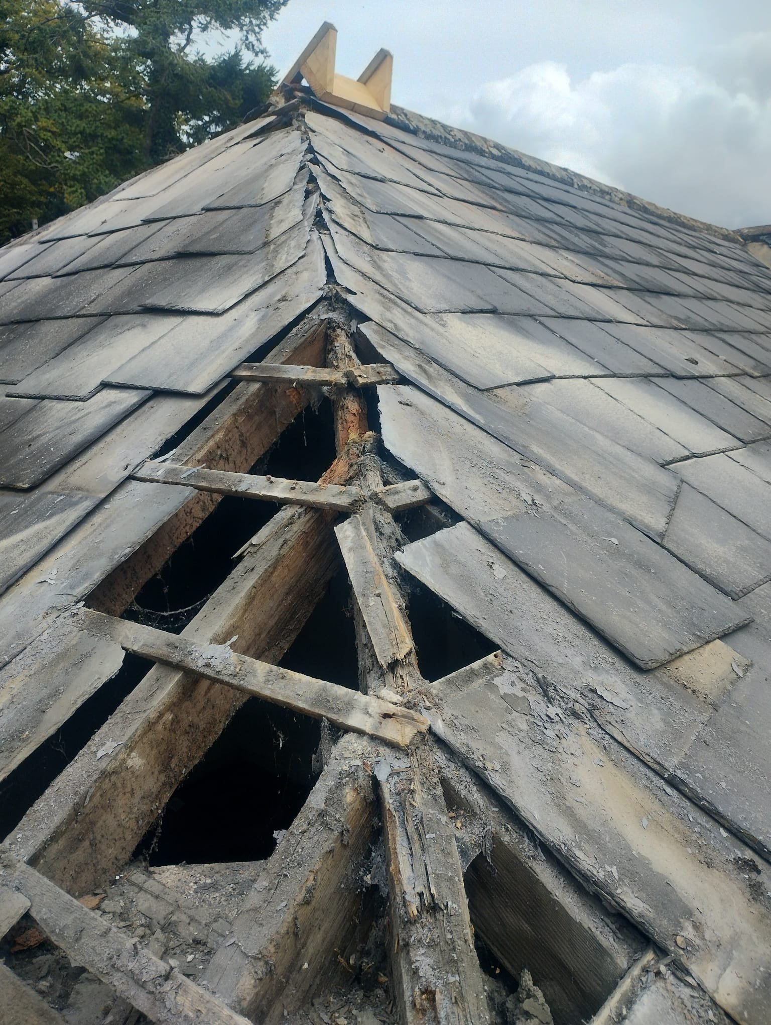 WhatsApp Image 2024-08-18 at 15.10.48 (2).jpeg