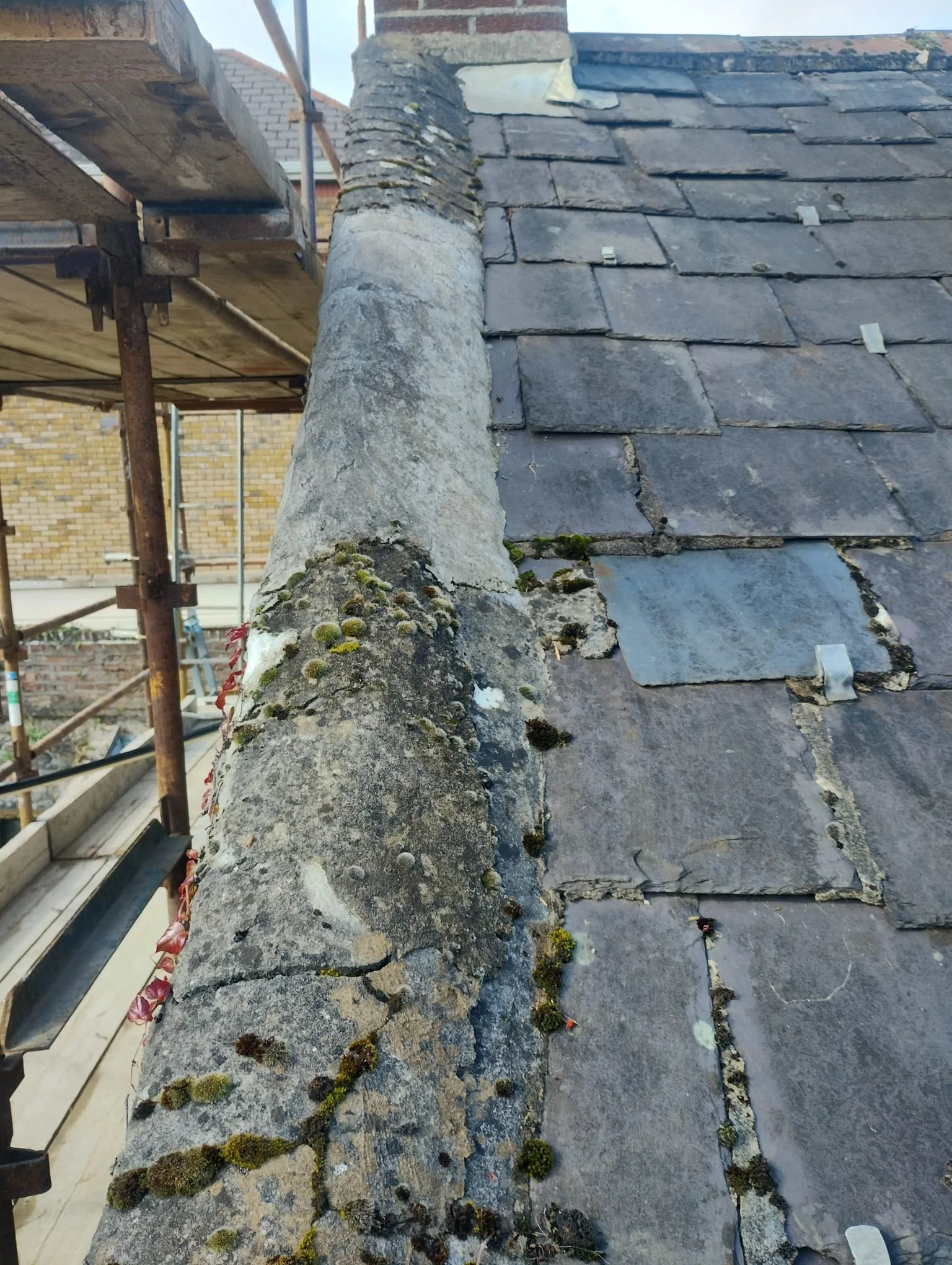 WhatsApp Image 2024-08-18 at 15.11.34 (6).jpeg