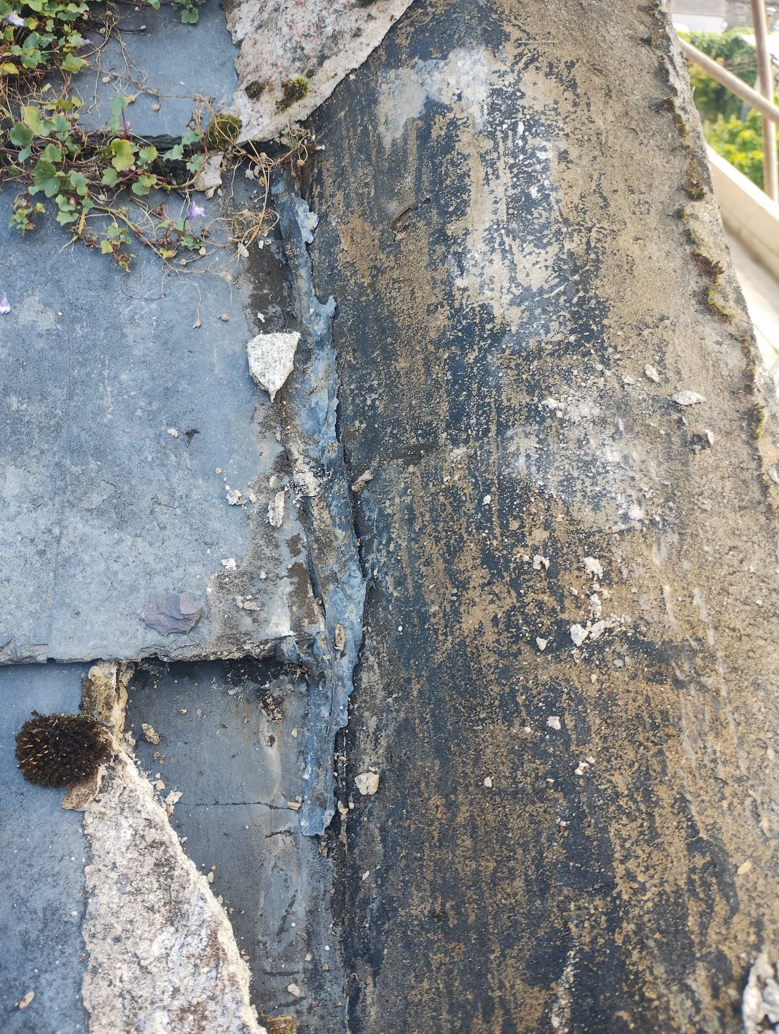 WhatsApp Image 2024-08-18 at 15.11.34 (3).jpeg