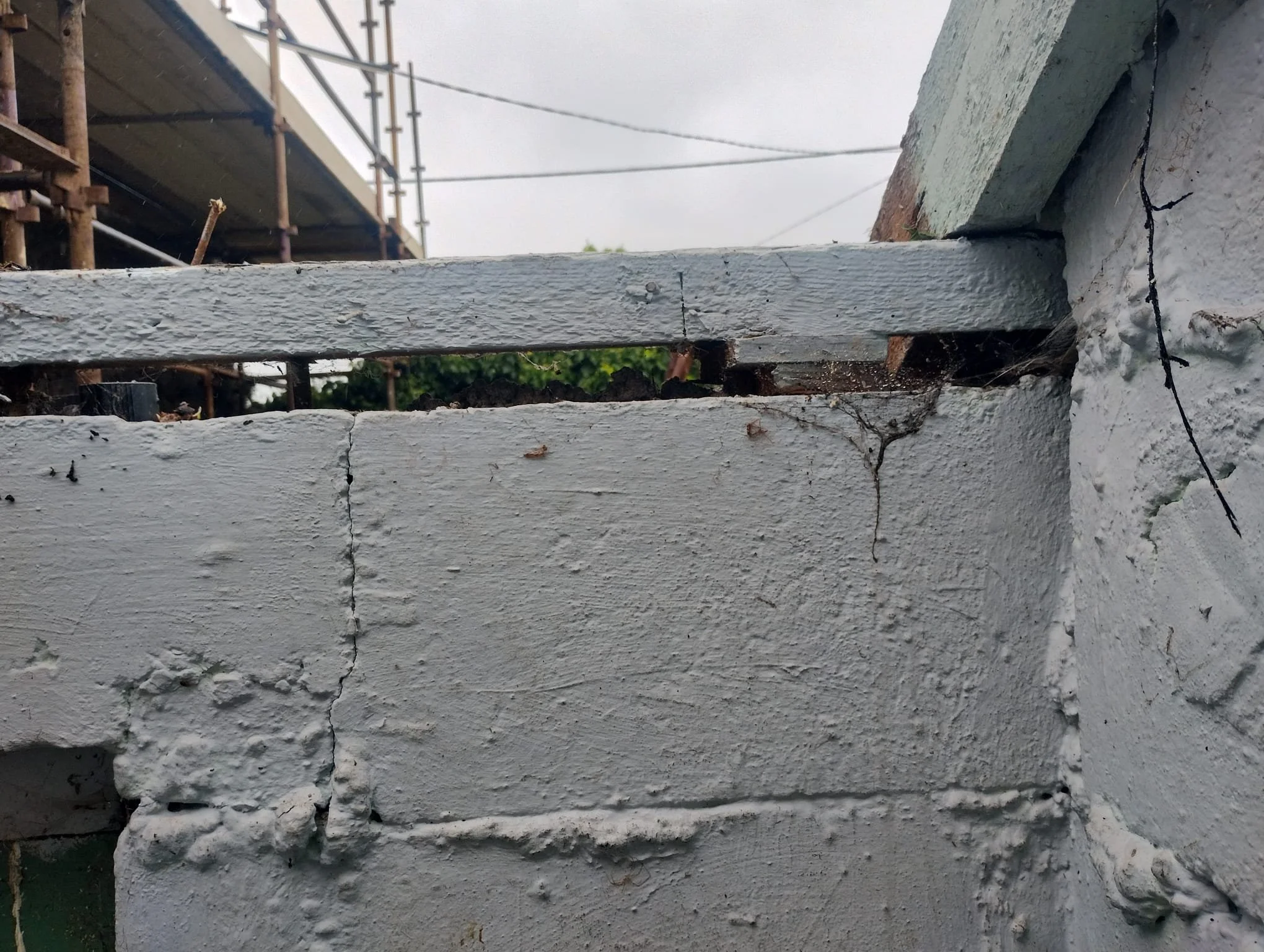 WhatsApp Image 2024-08-18 at 15.11.34 (16).jpeg