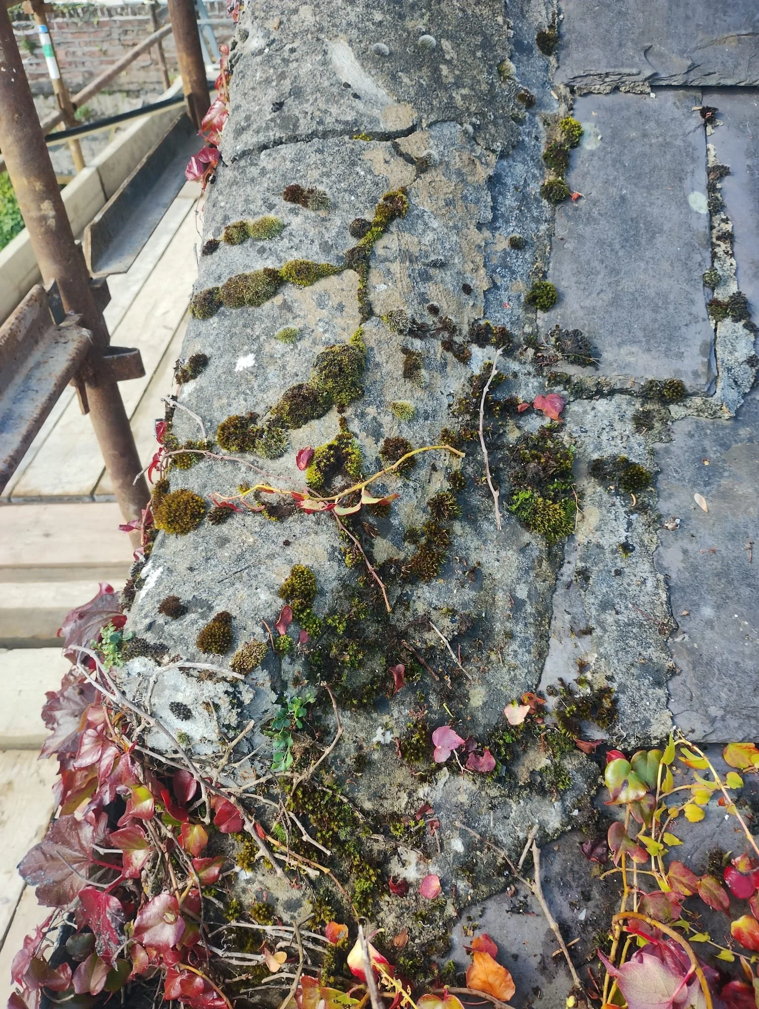 WhatsApp Image 2024-08-18 at 15.11.34 (7).jpeg