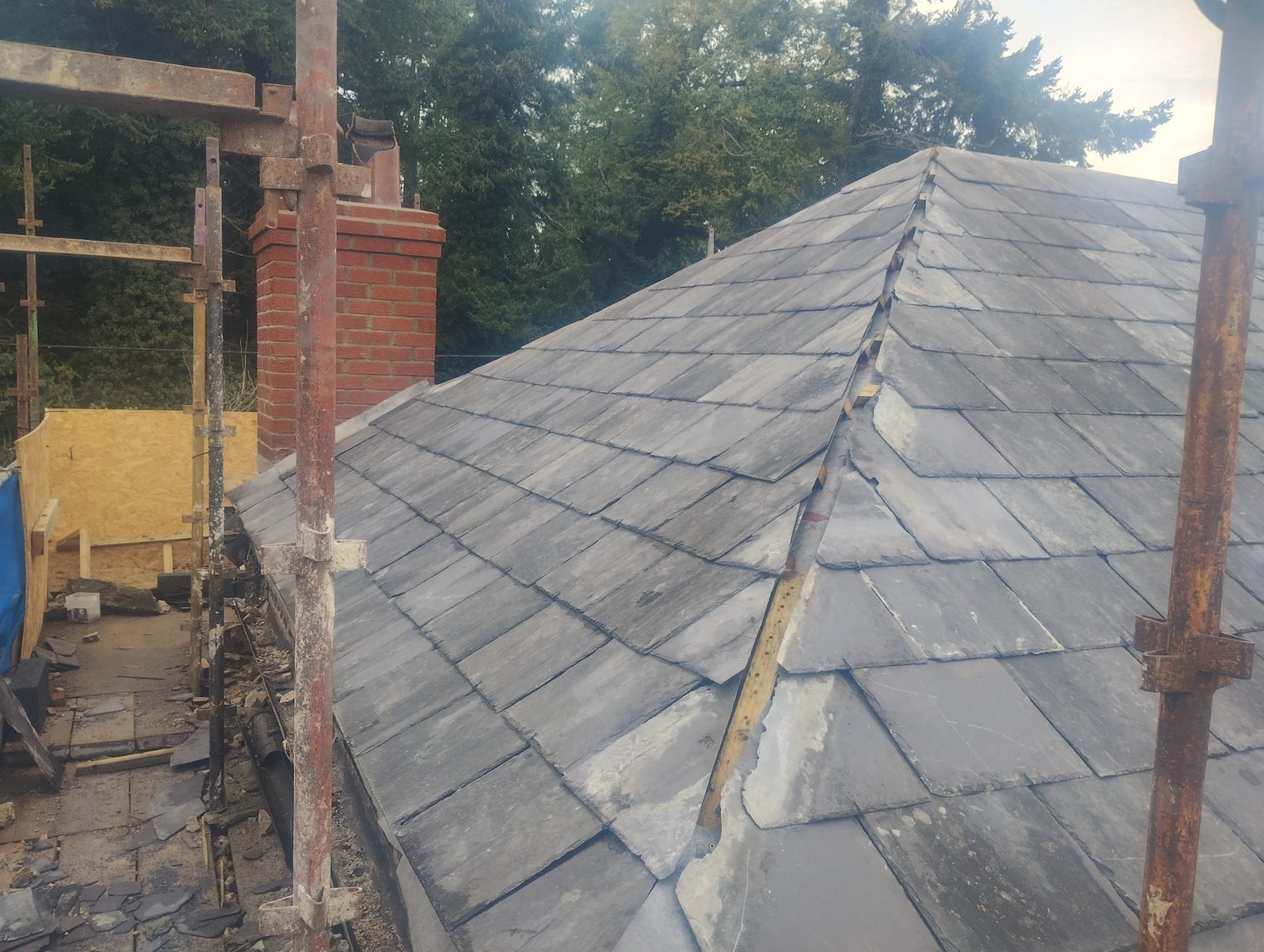 WhatsApp Image 2024-07-25 at 21.20.29 (5).jpeg