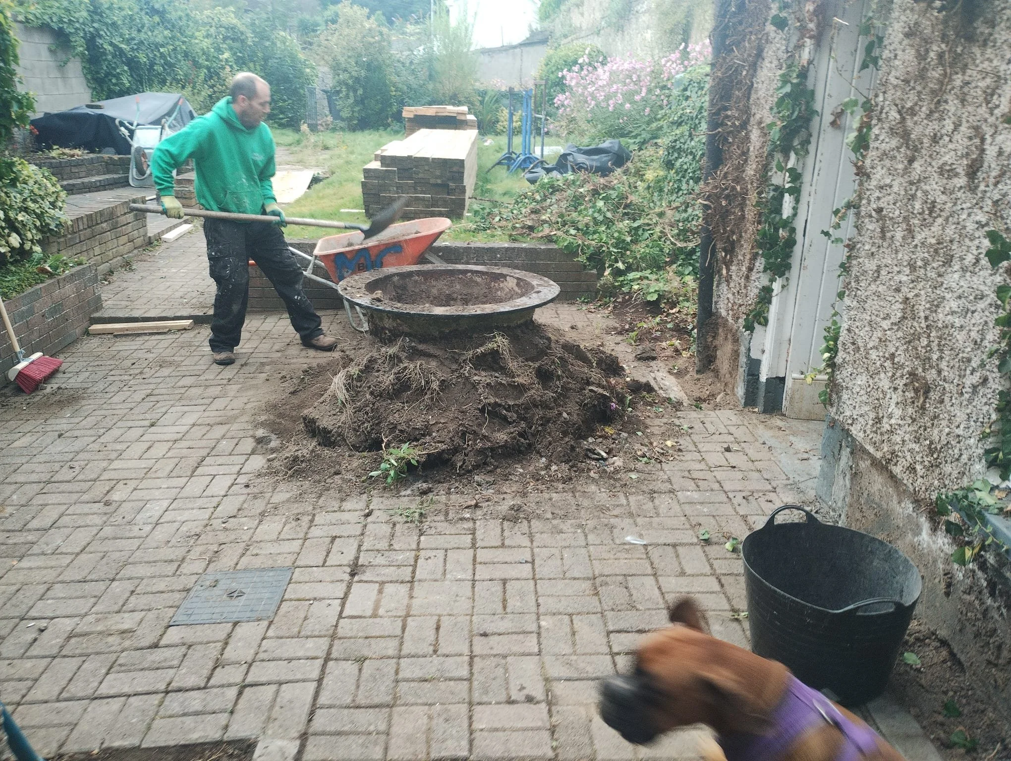 WhatsApp Image 2024-08-18 at 15.11.36.jpeg