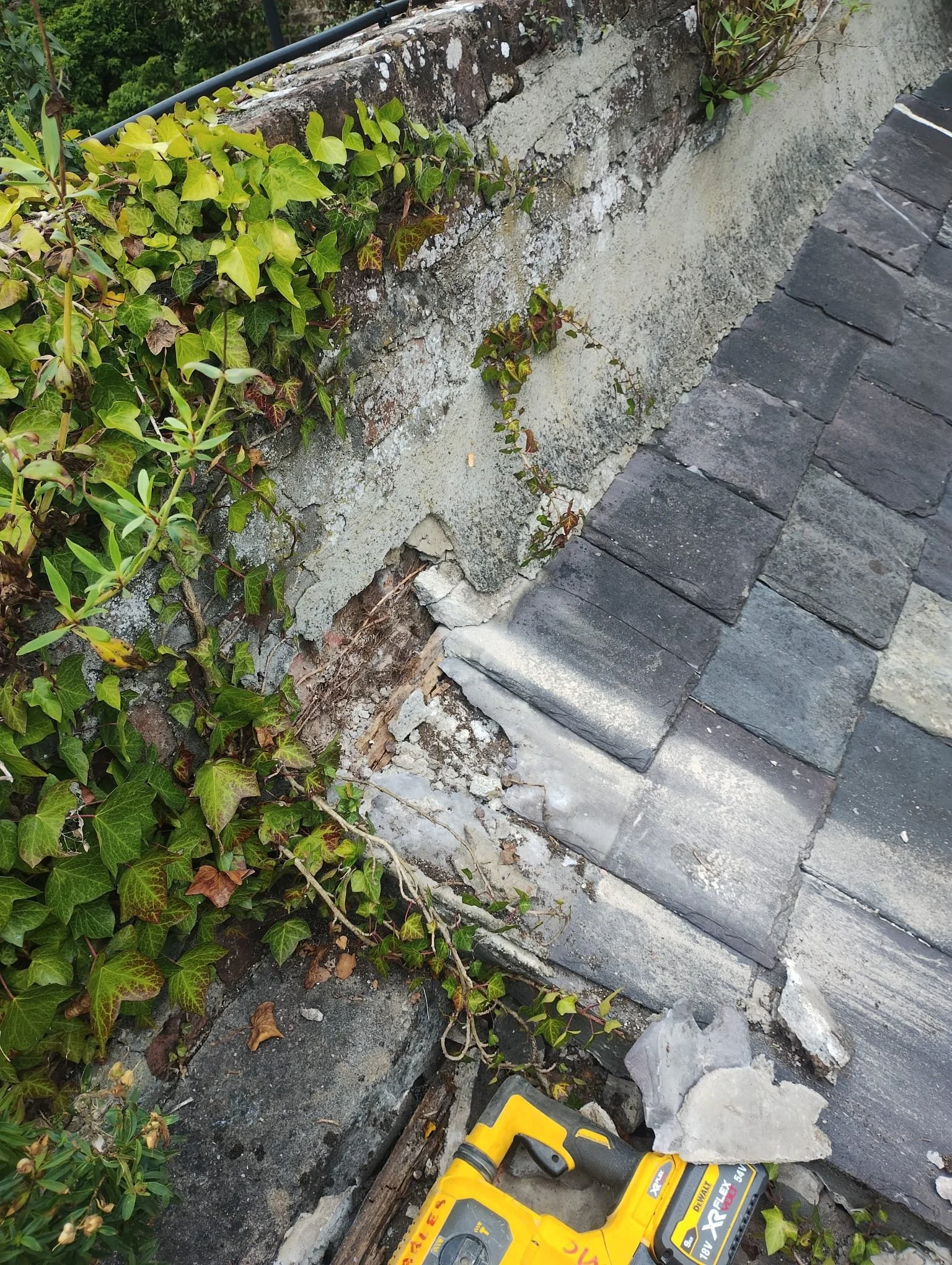 WhatsApp Image 2024-07-25 at 21.06.00 (6).jpeg