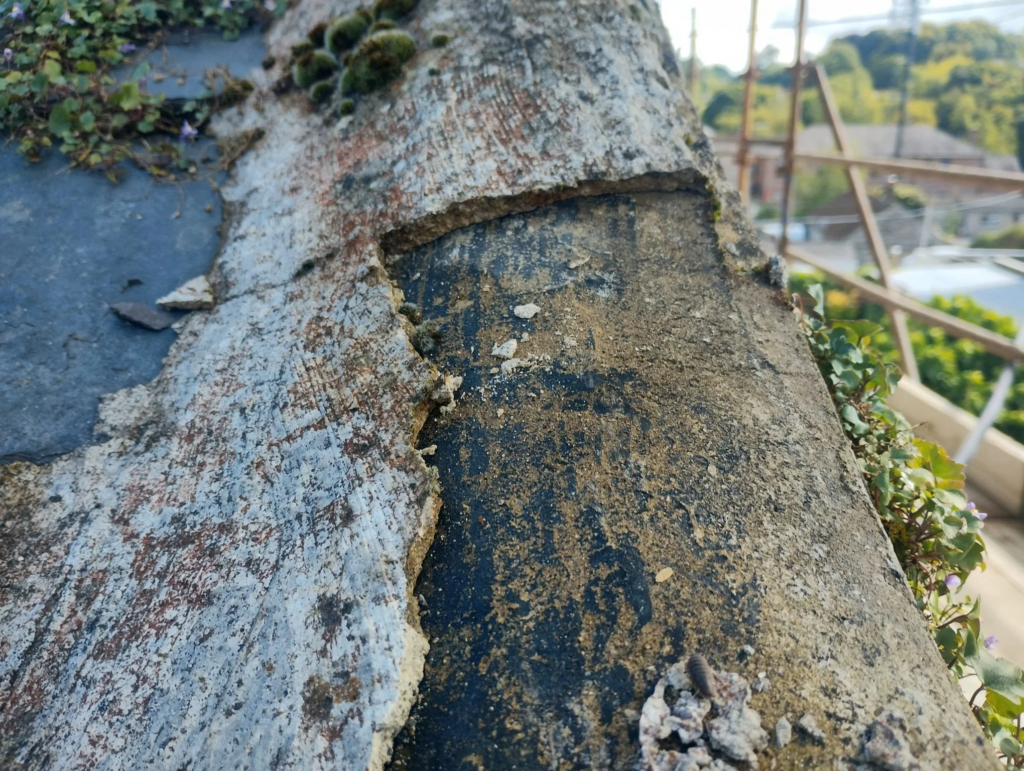 WhatsApp Image 2024-07-25 at 21.05.59 (8).jpeg