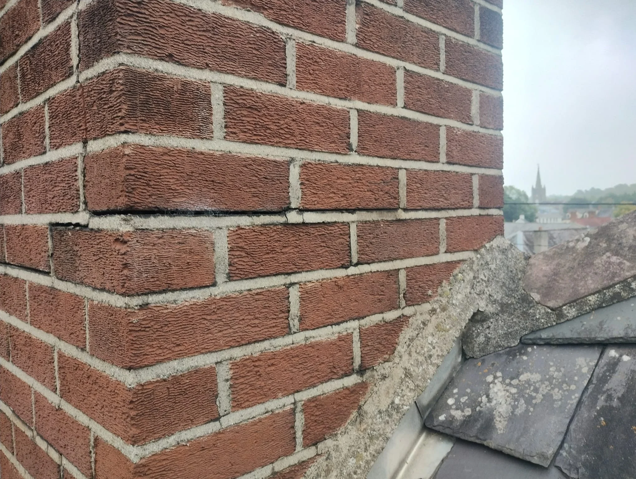 WhatsApp Image 2024-08-18 at 15.11.33 (10).jpeg