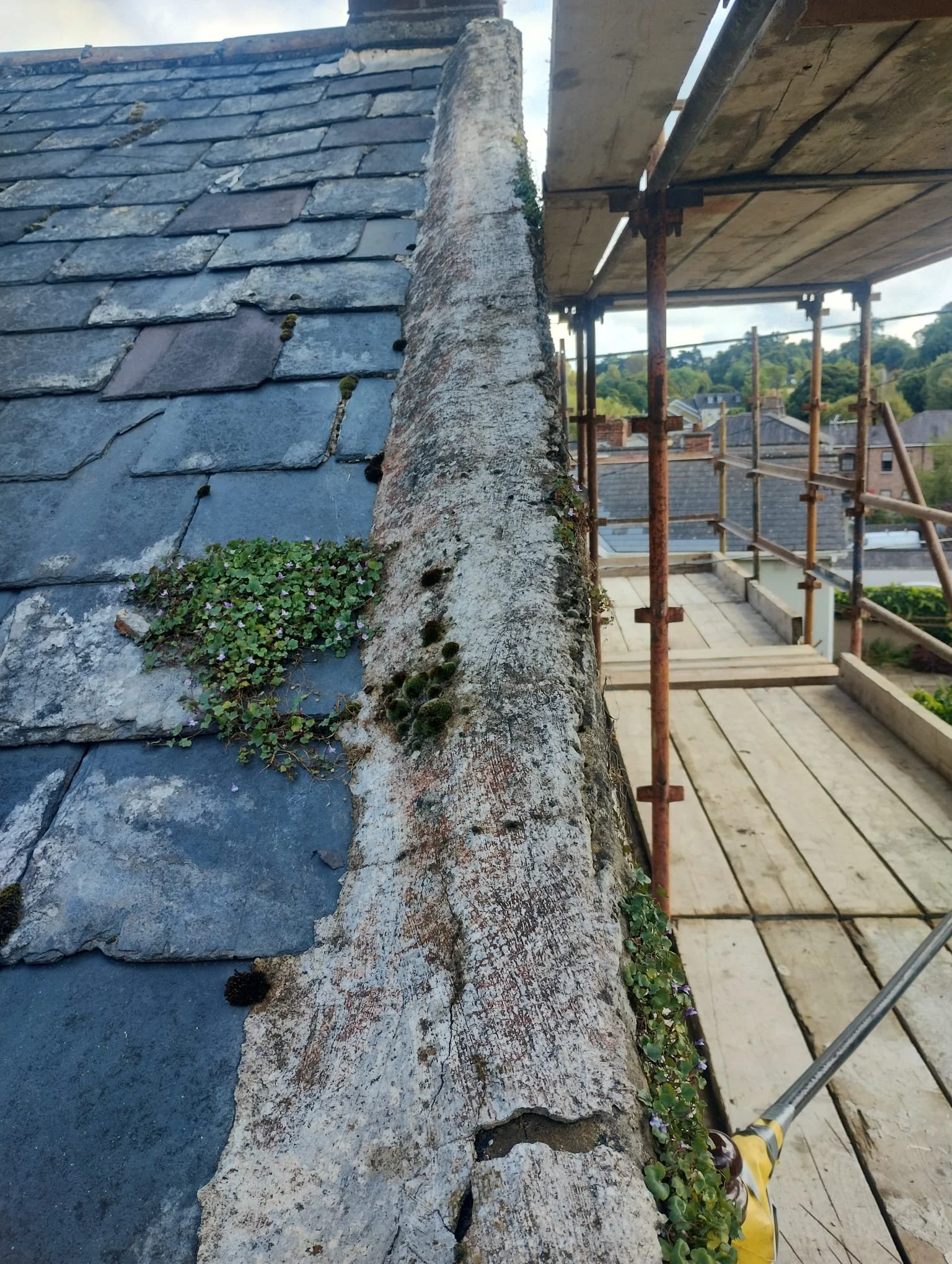 WhatsApp Image 2024-07-25 at 21.05.59 (13).jpeg