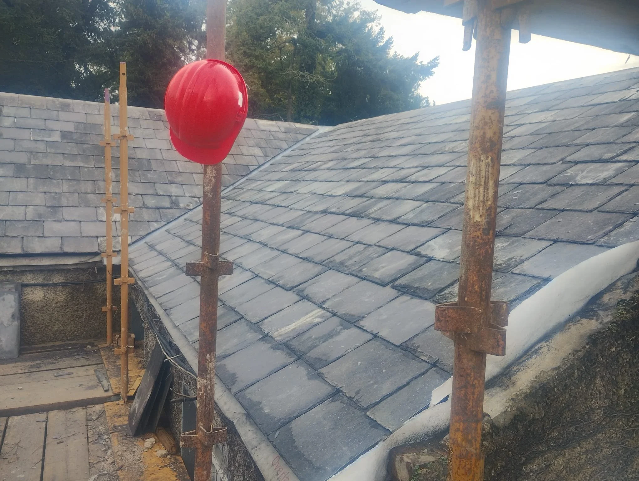 WhatsApp Image 2024-07-25 at 21.20.29 (7).jpeg