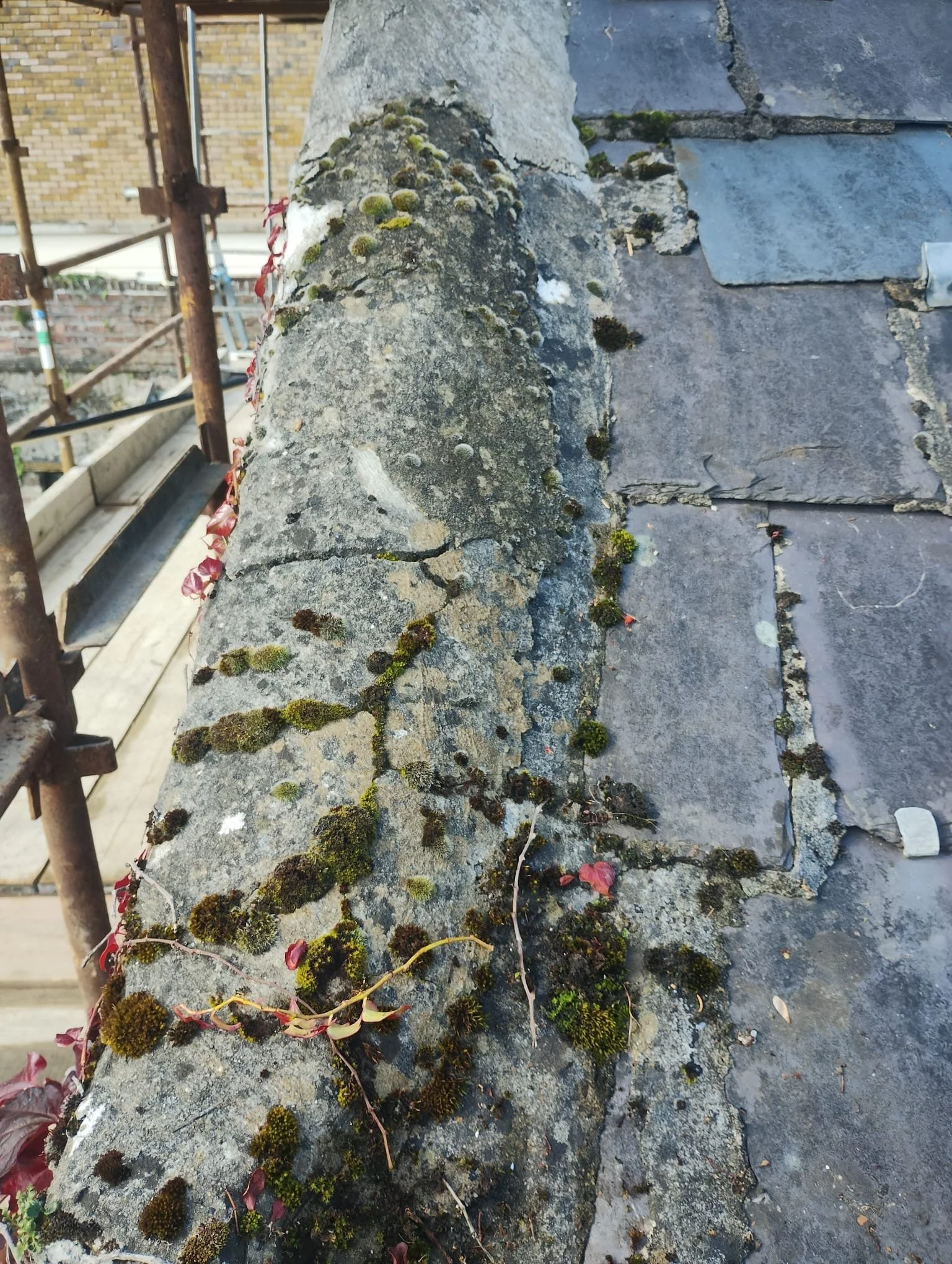 WhatsApp Image 2024-07-25 at 21.05.59 (11).jpeg