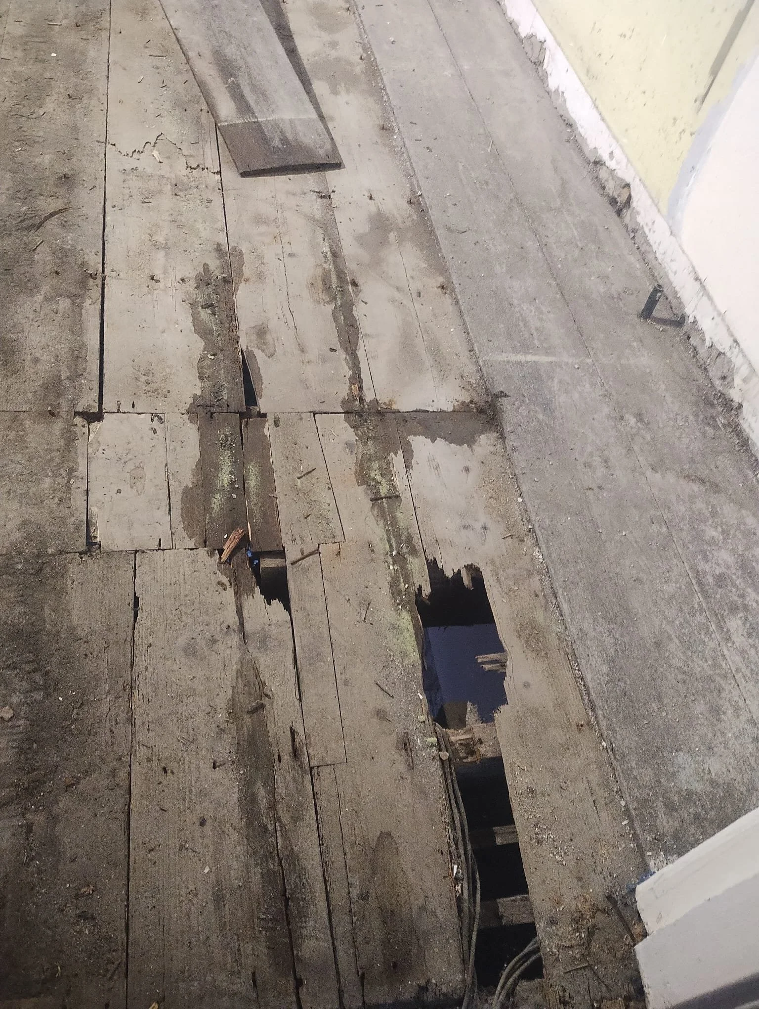 WhatsApp Image 2024-08-18 at 15.11.21 (2).jpeg