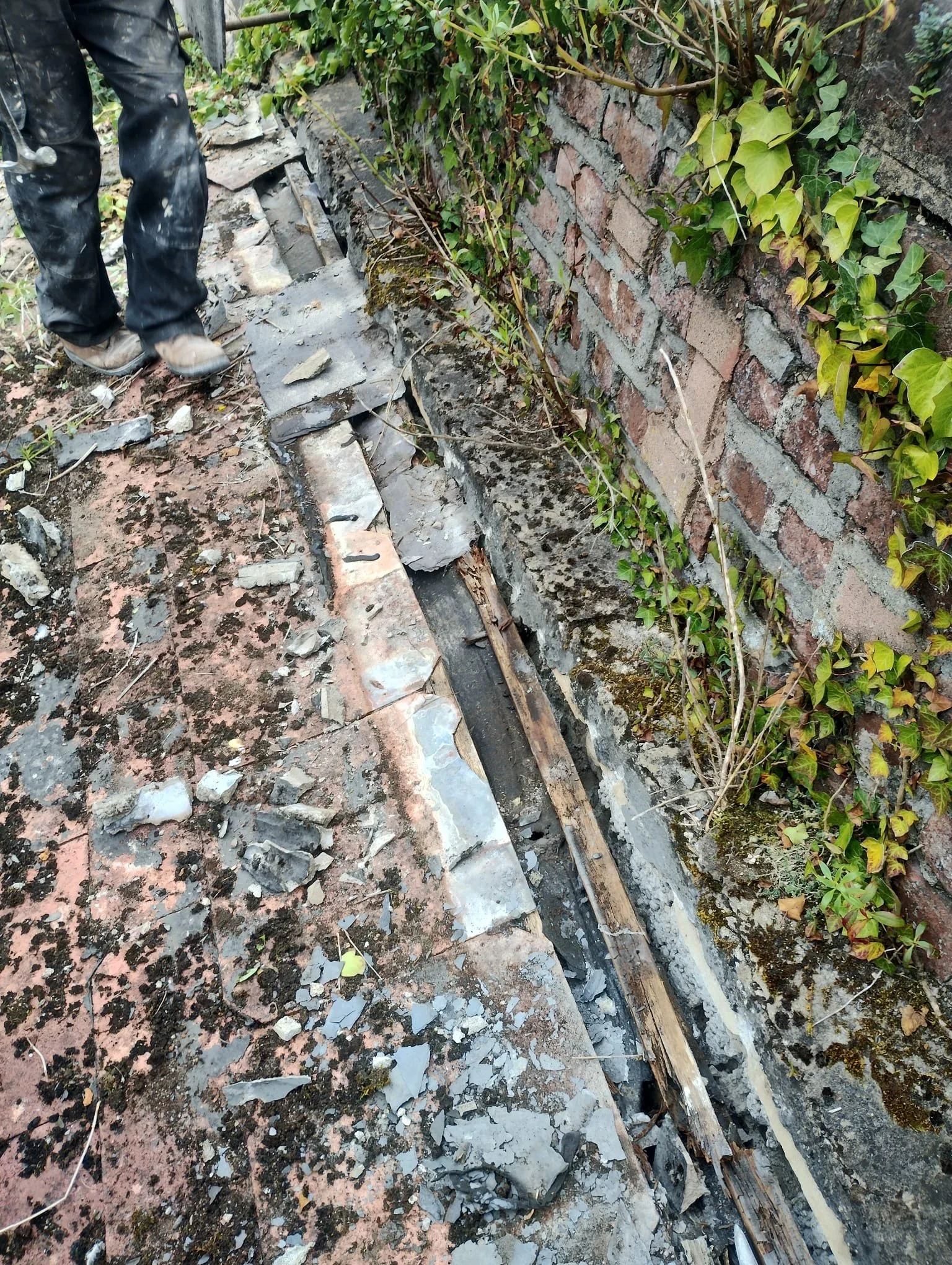 WhatsApp Image 2024-07-25 at 21.06.00 (7).jpeg