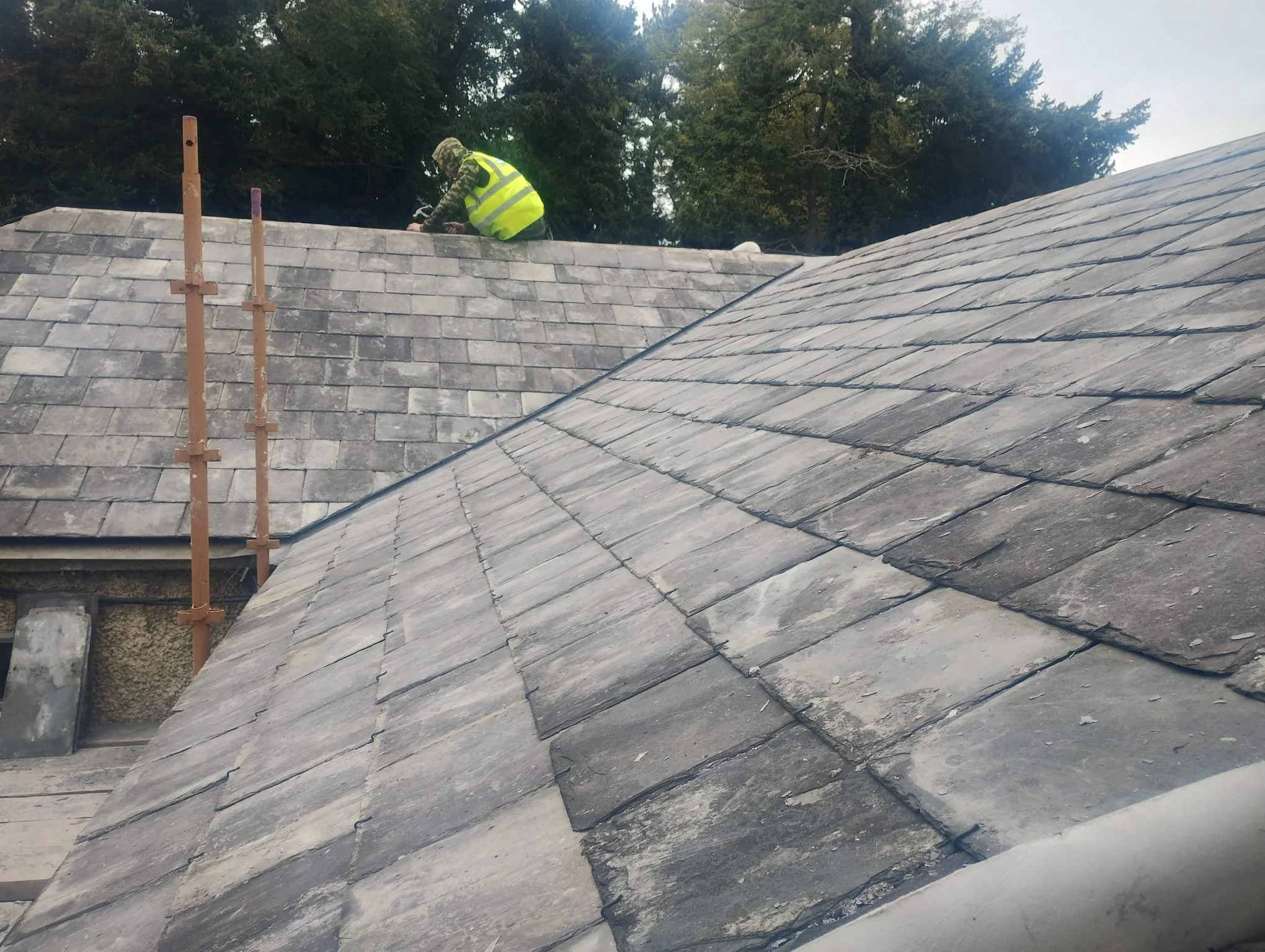 WhatsApp Image 2024-07-25 at 21.20.29 (8).jpeg