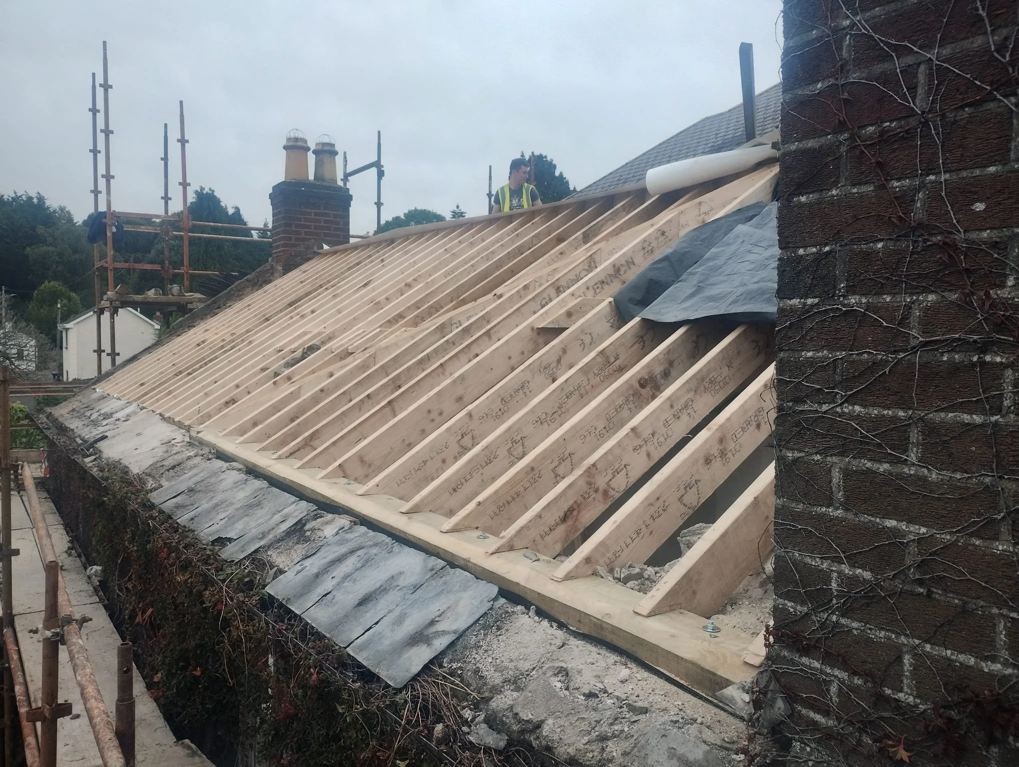 WhatsApp Image 2024-07-25 at 21.22.53 (1).jpeg