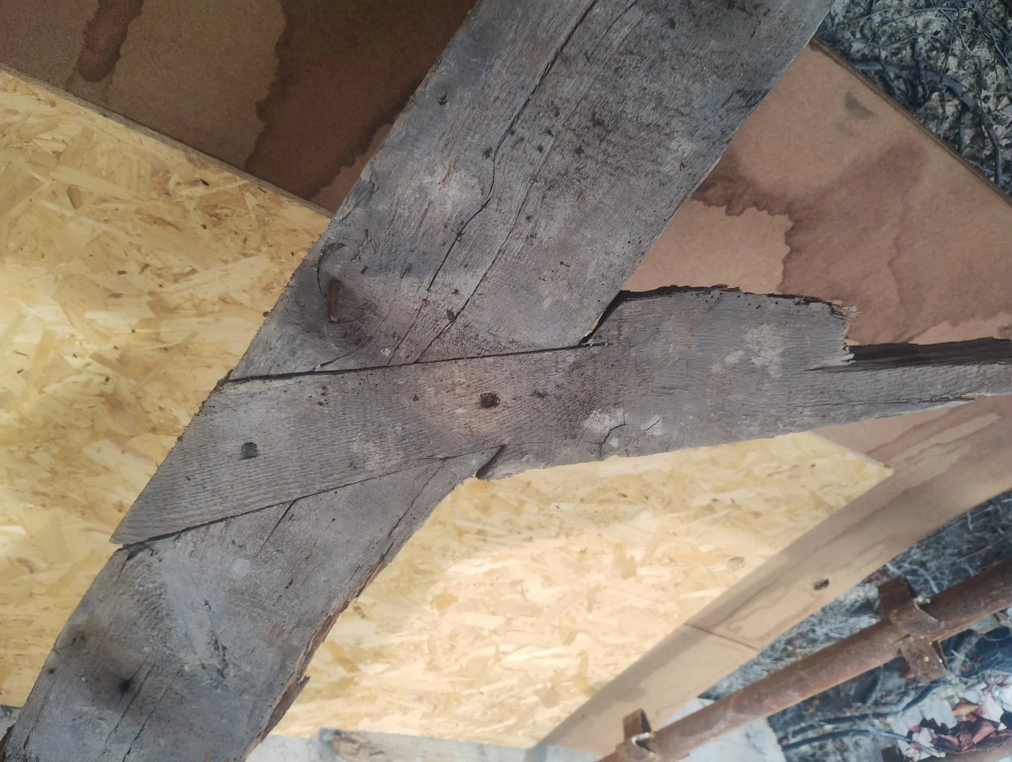 WhatsApp Image 2024-07-25 at 21.22.53 (14).jpeg