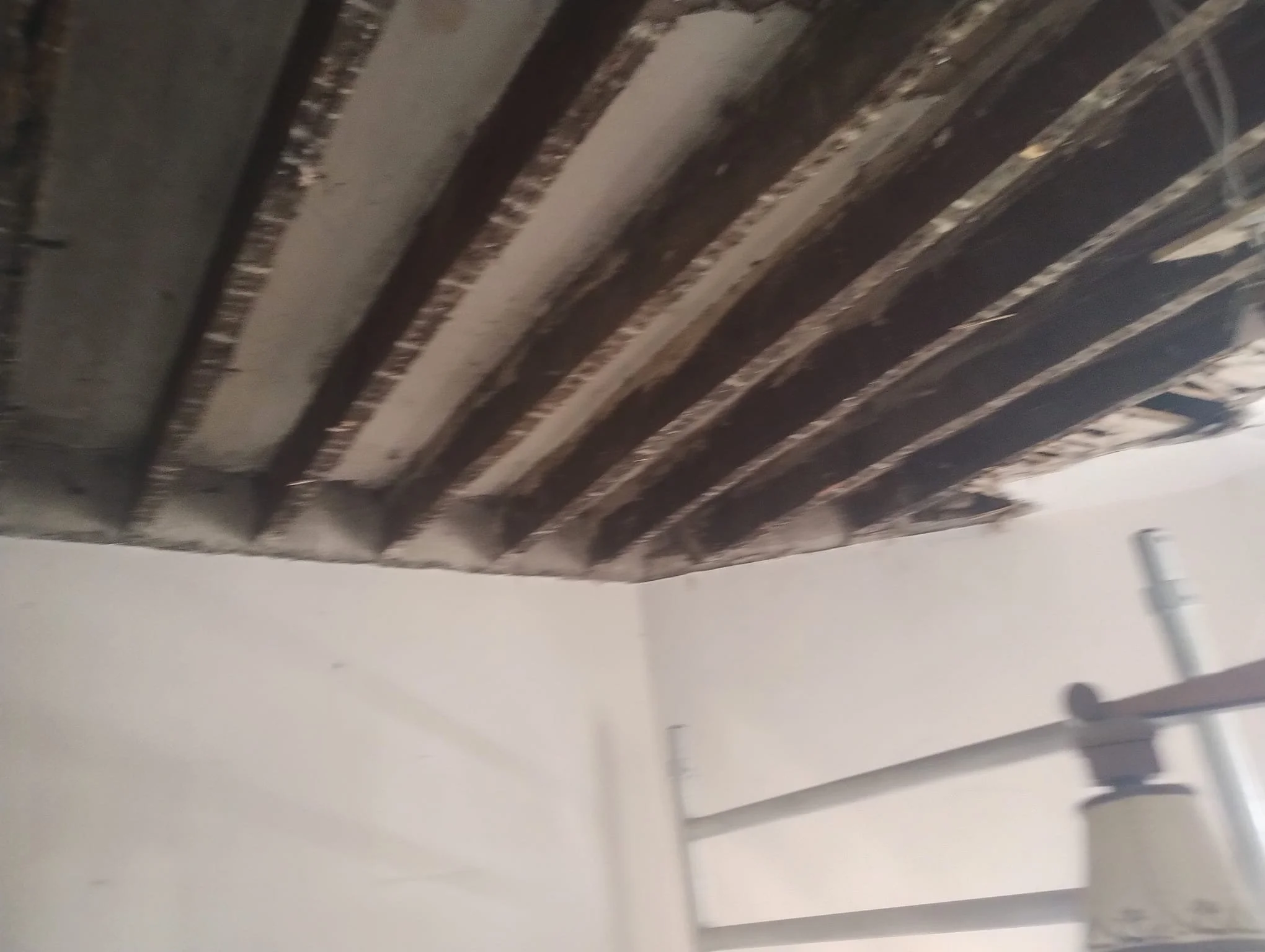 WhatsApp Image 2024-08-18 at 15.11.21 (11).jpeg