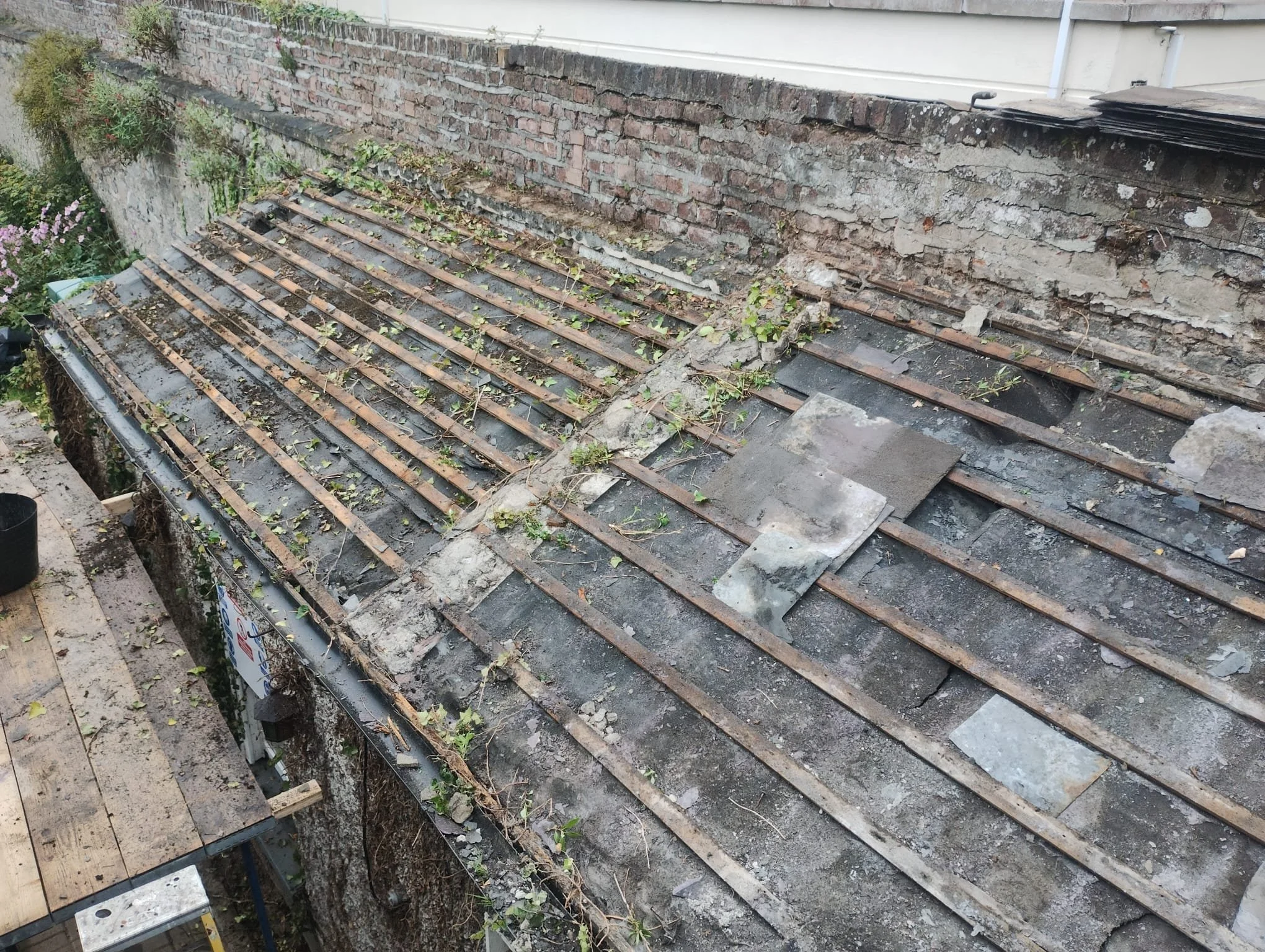 WhatsApp Image 2024-08-18 at 15.11.34 (20).jpeg