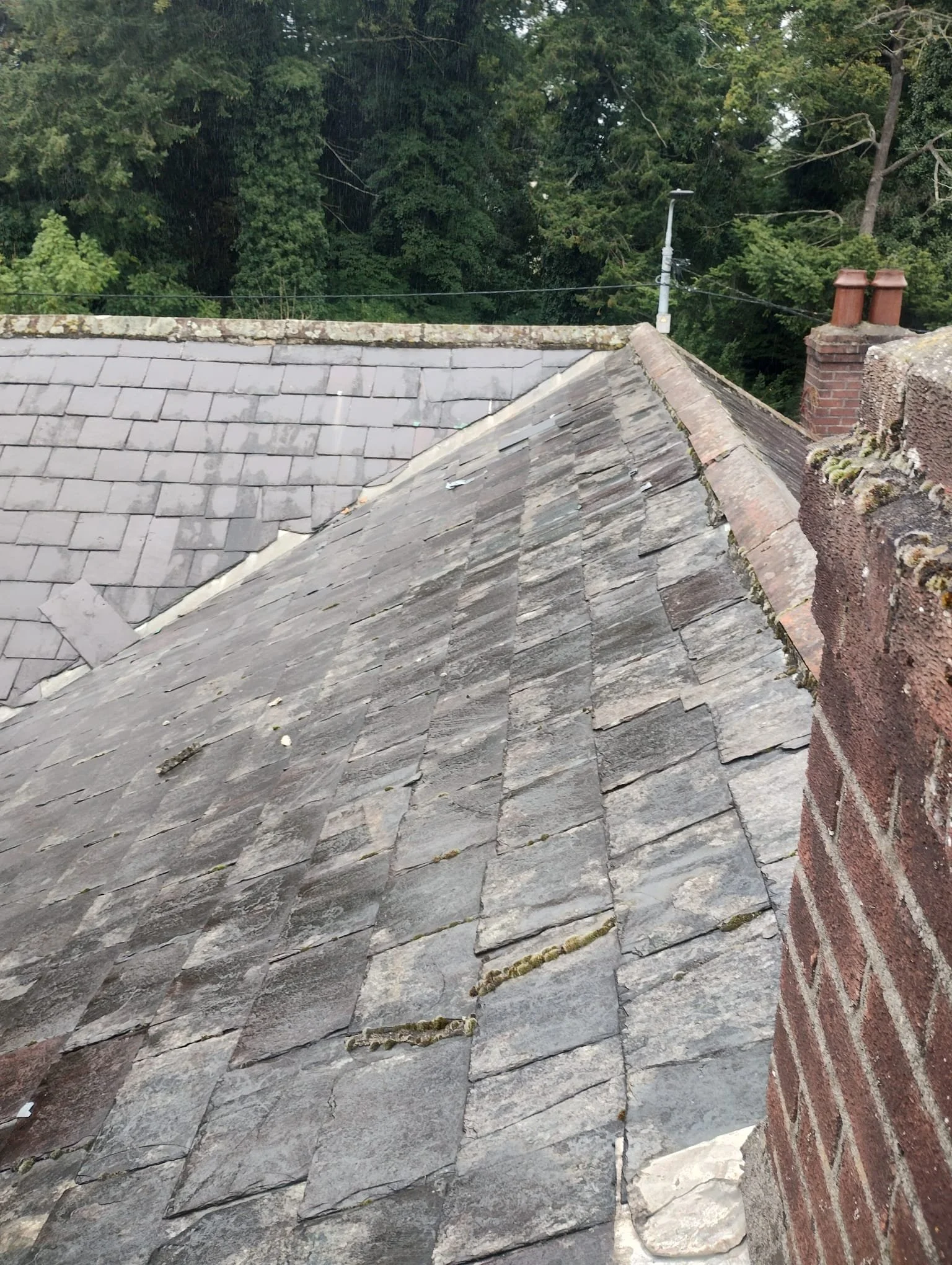 WhatsApp Image 2024-07-25 at 21.05.59 (15).jpeg