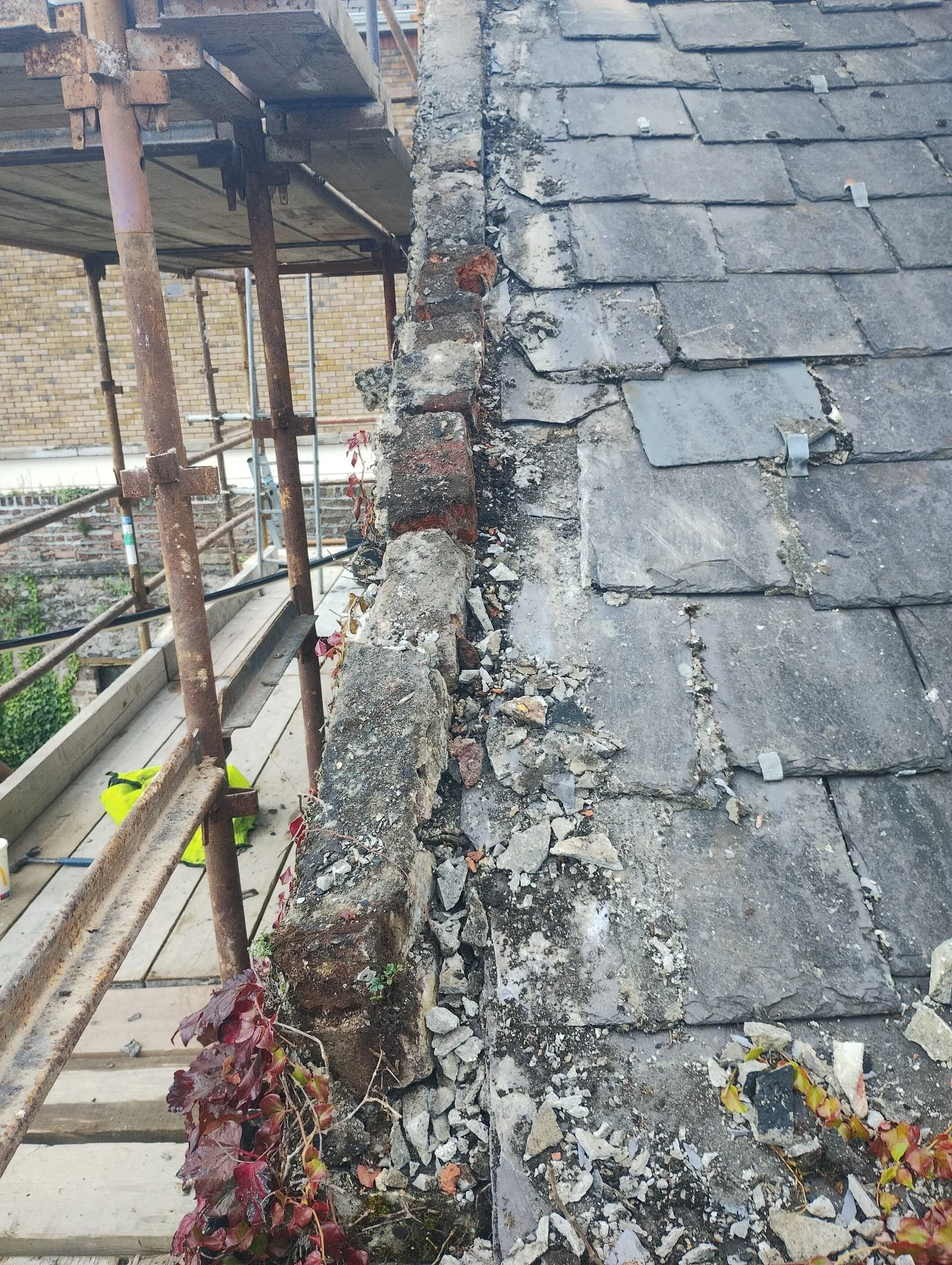 WhatsApp Image 2024-07-25 at 21.05.59 (5).jpeg