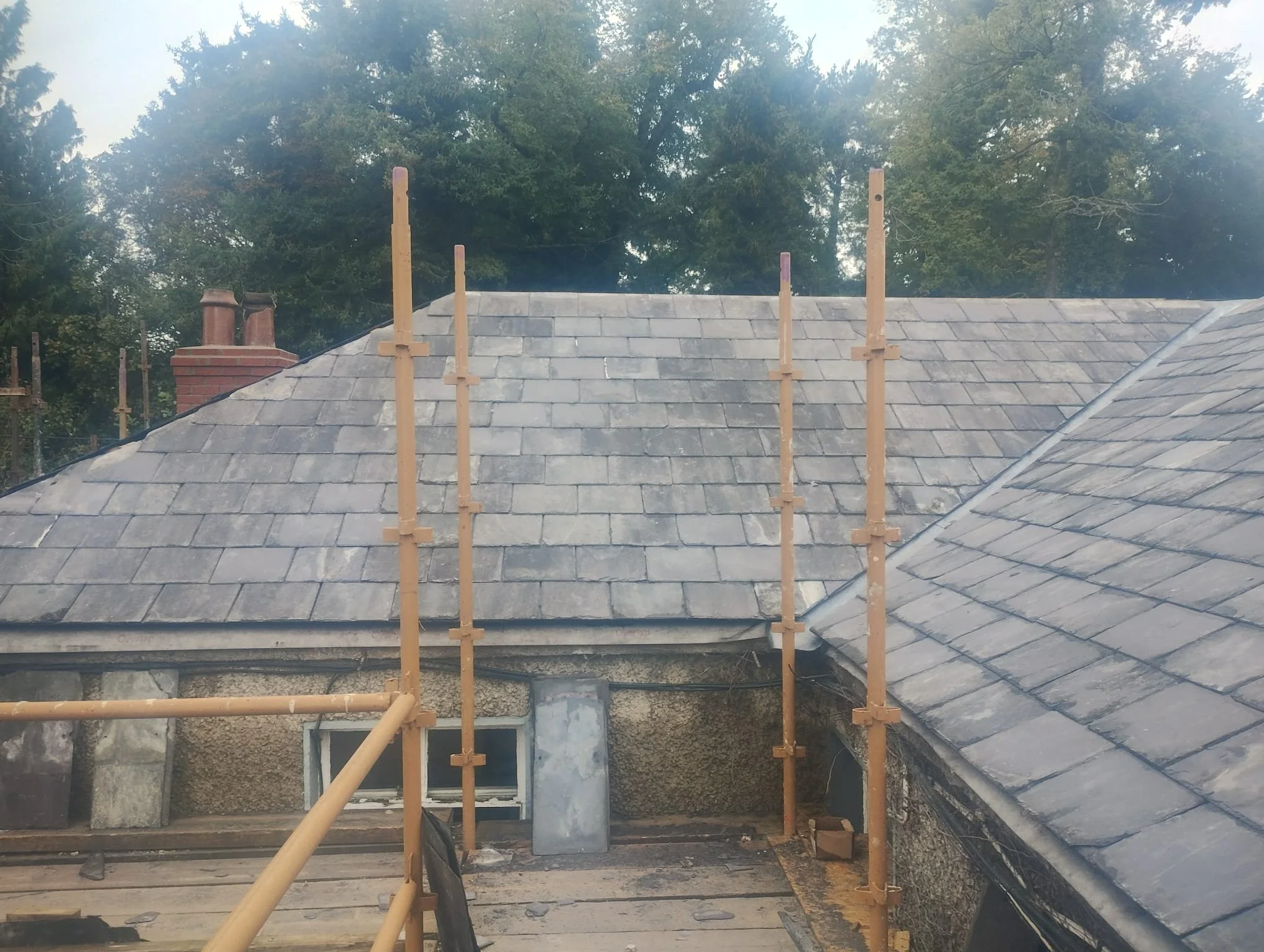 WhatsApp Image 2024-07-25 at 21.20.29 (6).jpeg