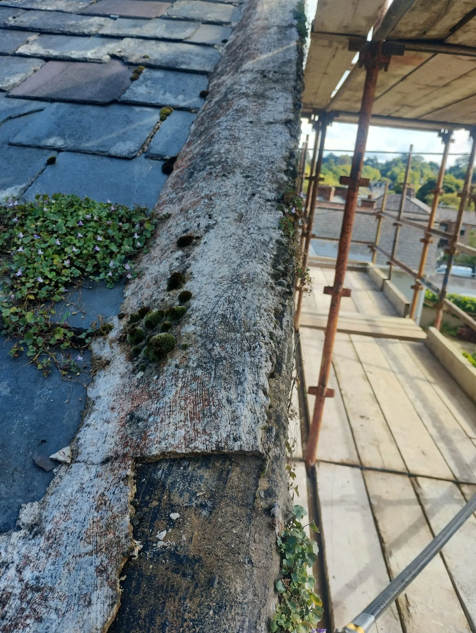 WhatsApp Image 2024-07-25 at 21.05.59 (7).jpeg