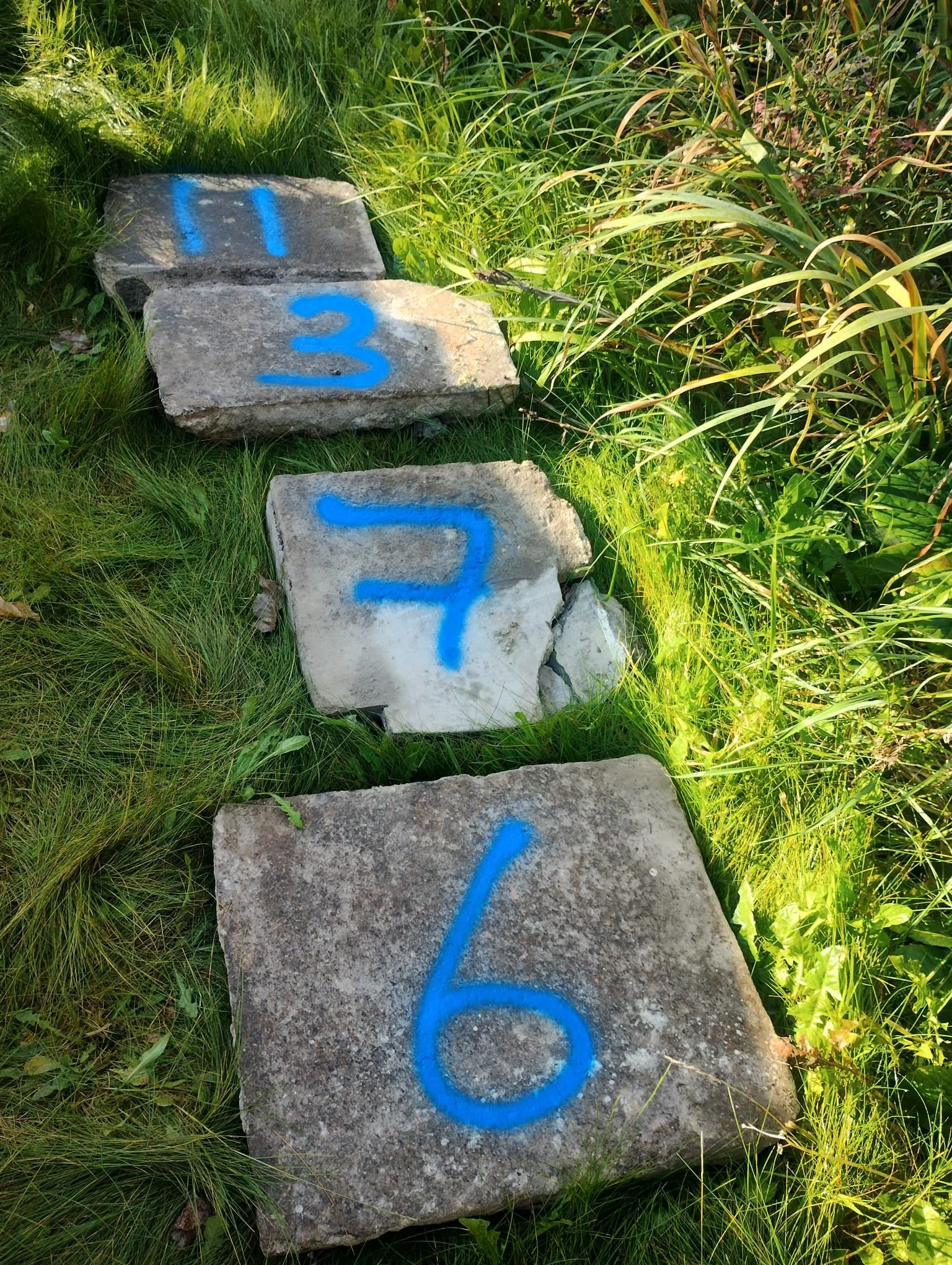 WhatsApp Image 2024-07-25 at 21.05.58.jpeg