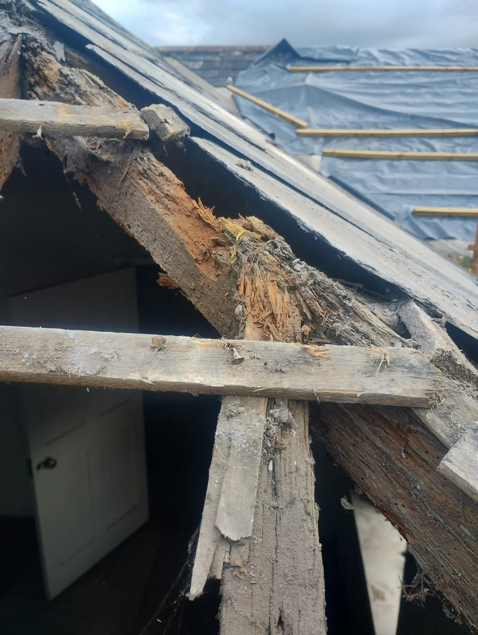 WhatsApp Image 2024-07-25 at 21.05.33 (3).jpeg