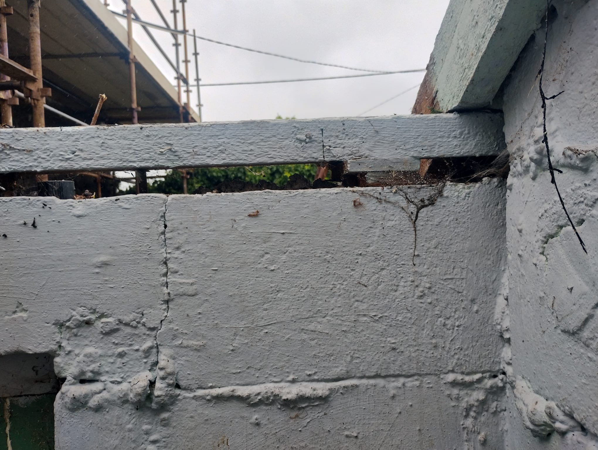 WhatsApp Image 2024-07-25 at 21.05.59 (21).jpeg